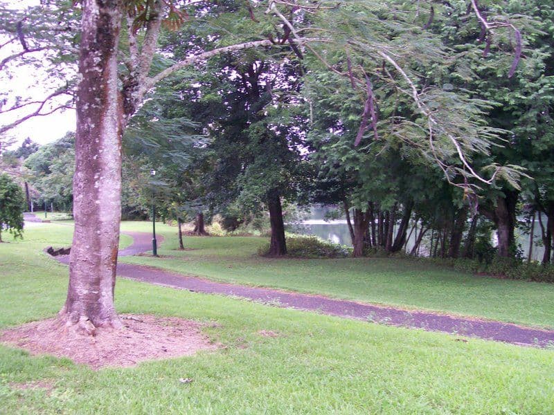 97 Coronation Drive, South Innisfail QLD 4860, South Innisfail - Thumbnail 7