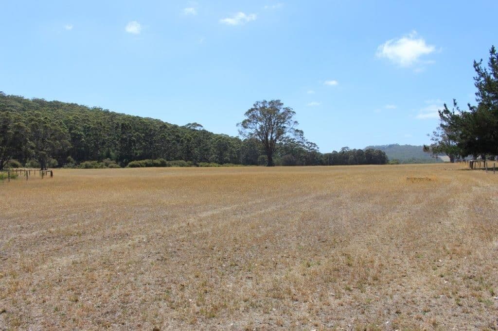 1503 Scotsdale Road, Denmark WA 6333, Denmark - Thumbnail 8