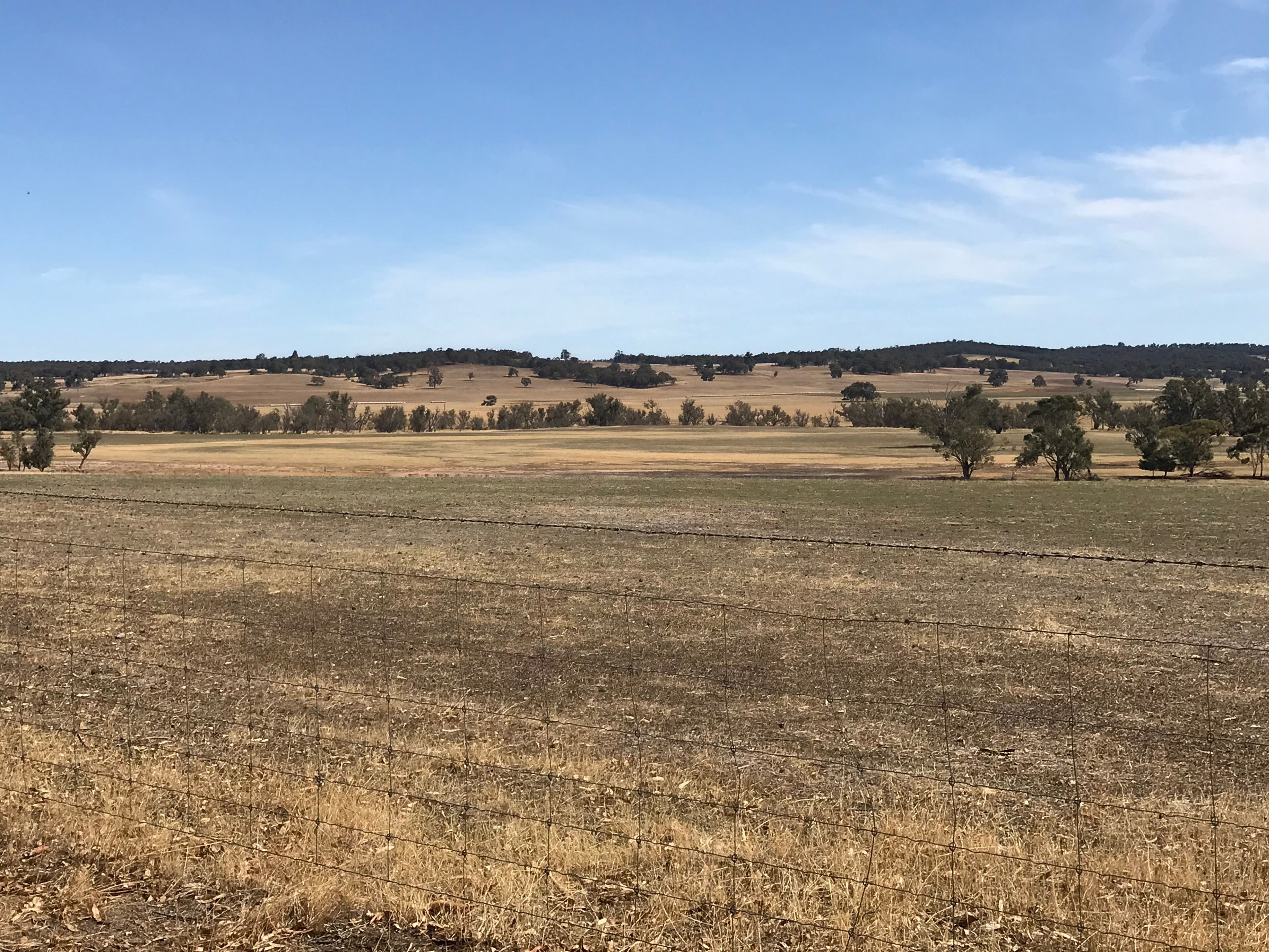 Cloverbrook 546 Dwarda East Road, Wandering WA 6308, Wandering - Thumbnail 4