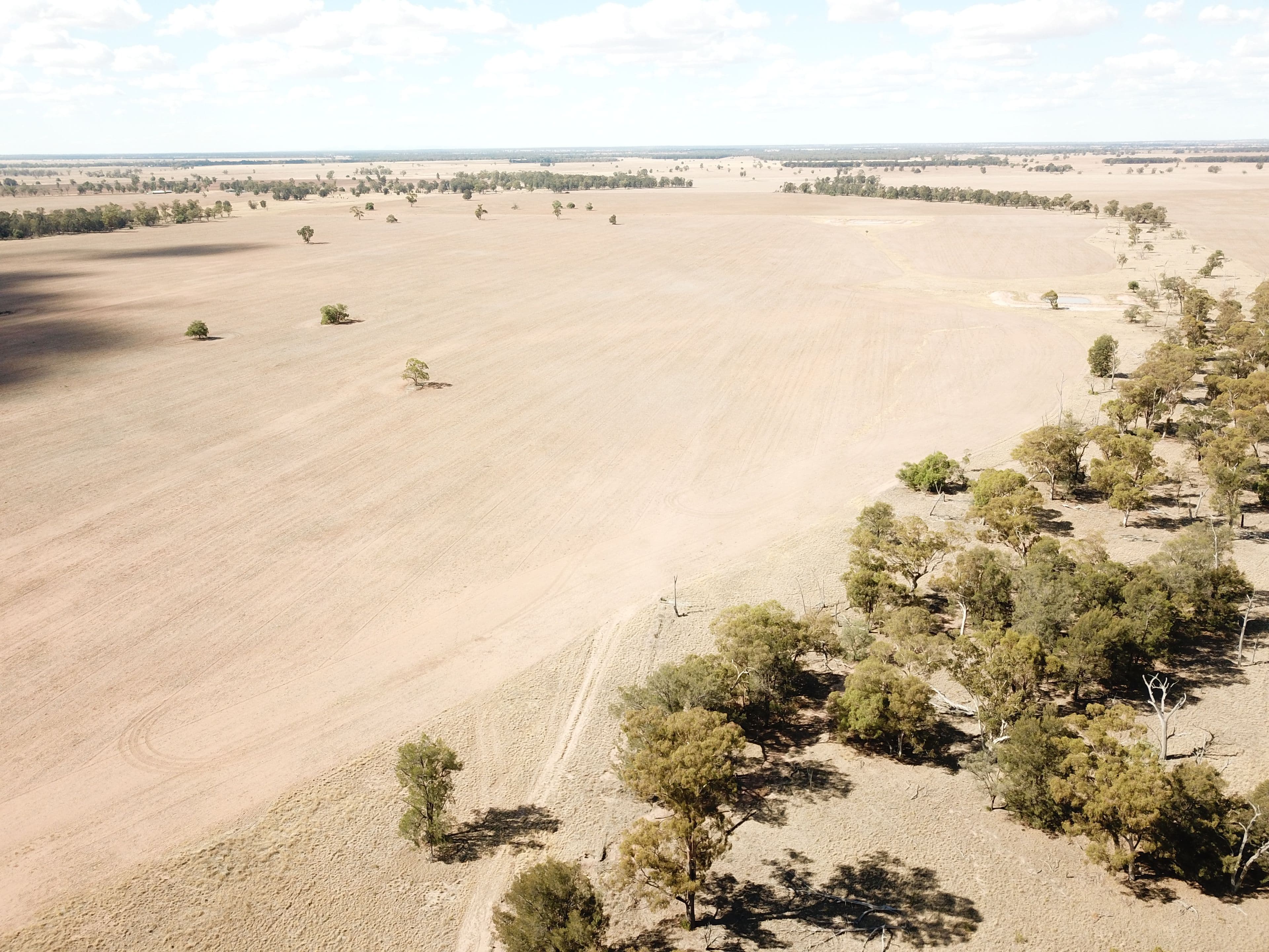 Pett's Block, Pineview Road, NARROMINE NSW 2821, Narromine - Thumbnail 4