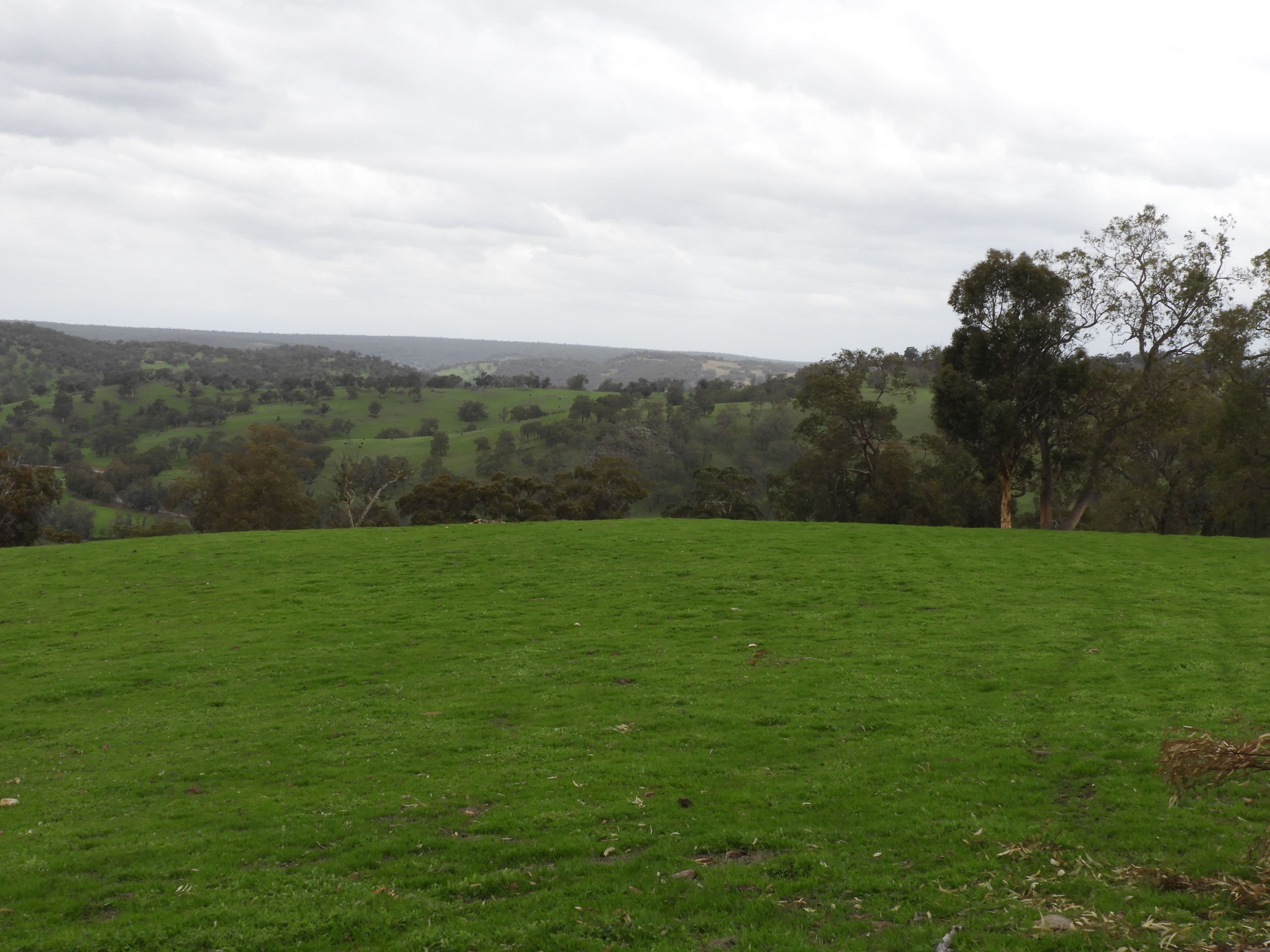 Lots 1280, 779,595,584,559,775, Lower Chittering Road, Chittering WA 6084, Chittering - Thumbnail 5