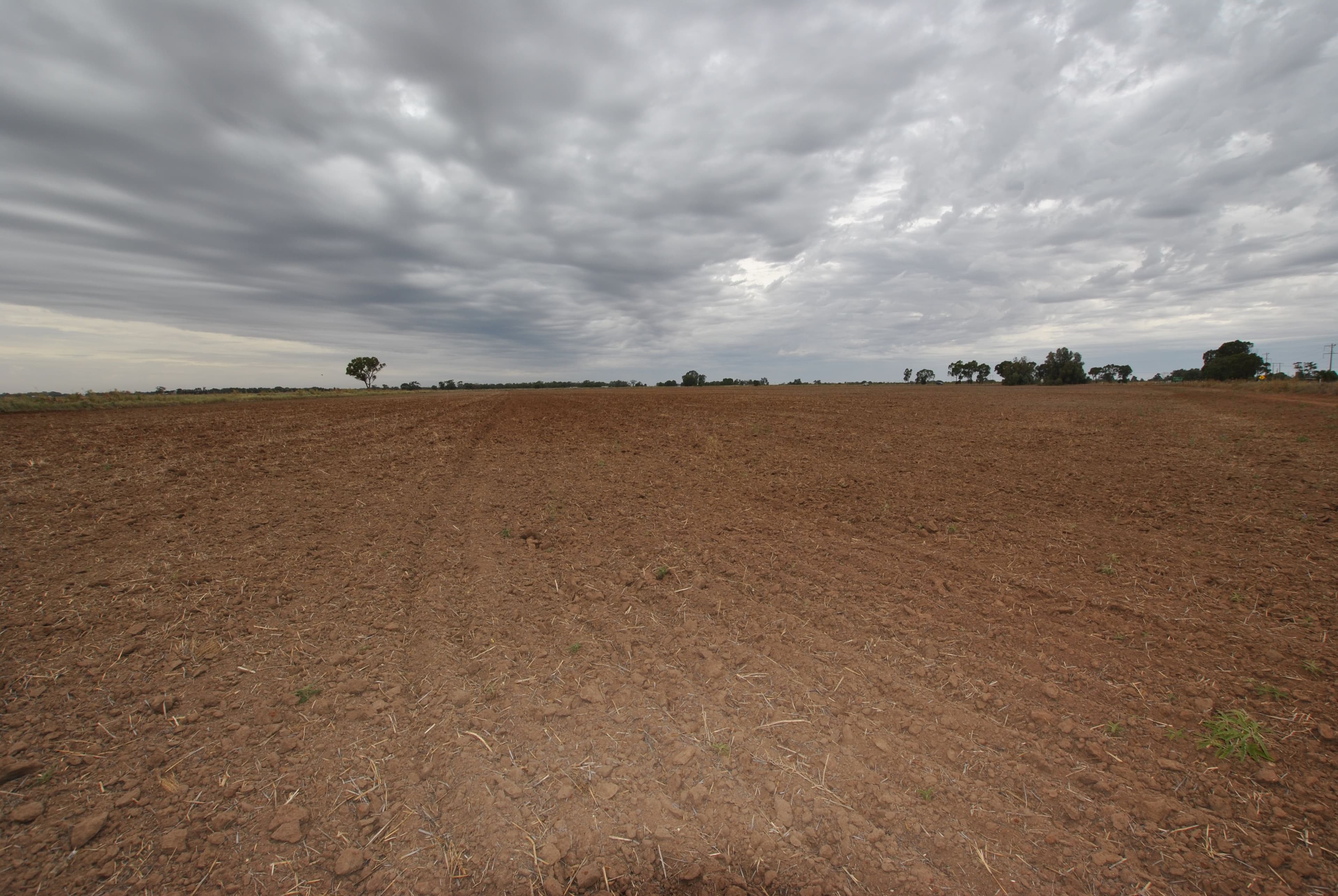 Farm 919 Irrigation Way, Whitton NSW 2705, Whitton - Thumbnail 2