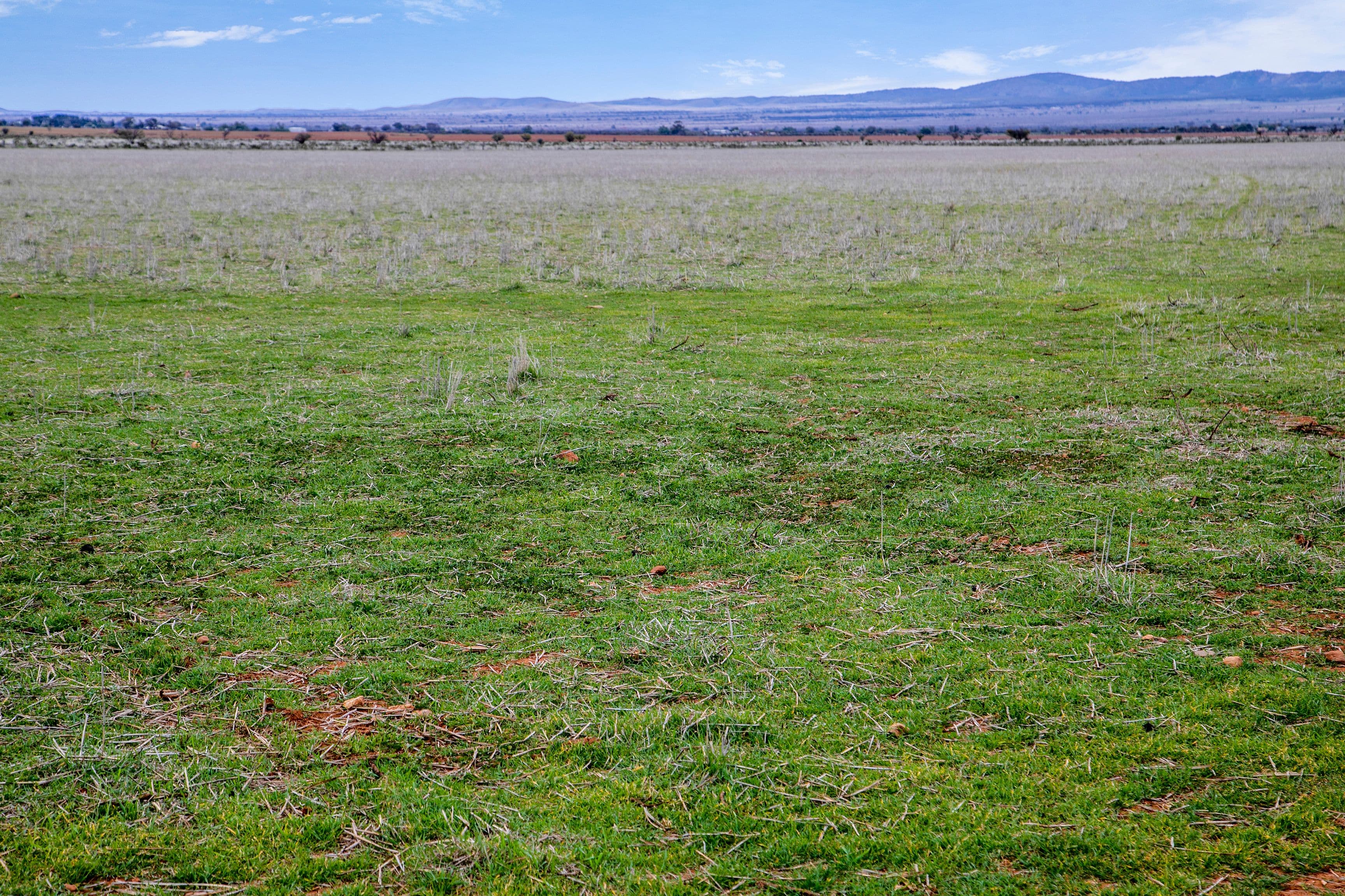 'Nutts' Minburra Road, Orroroo SA 5431, Orroroo - Thumbnail 5