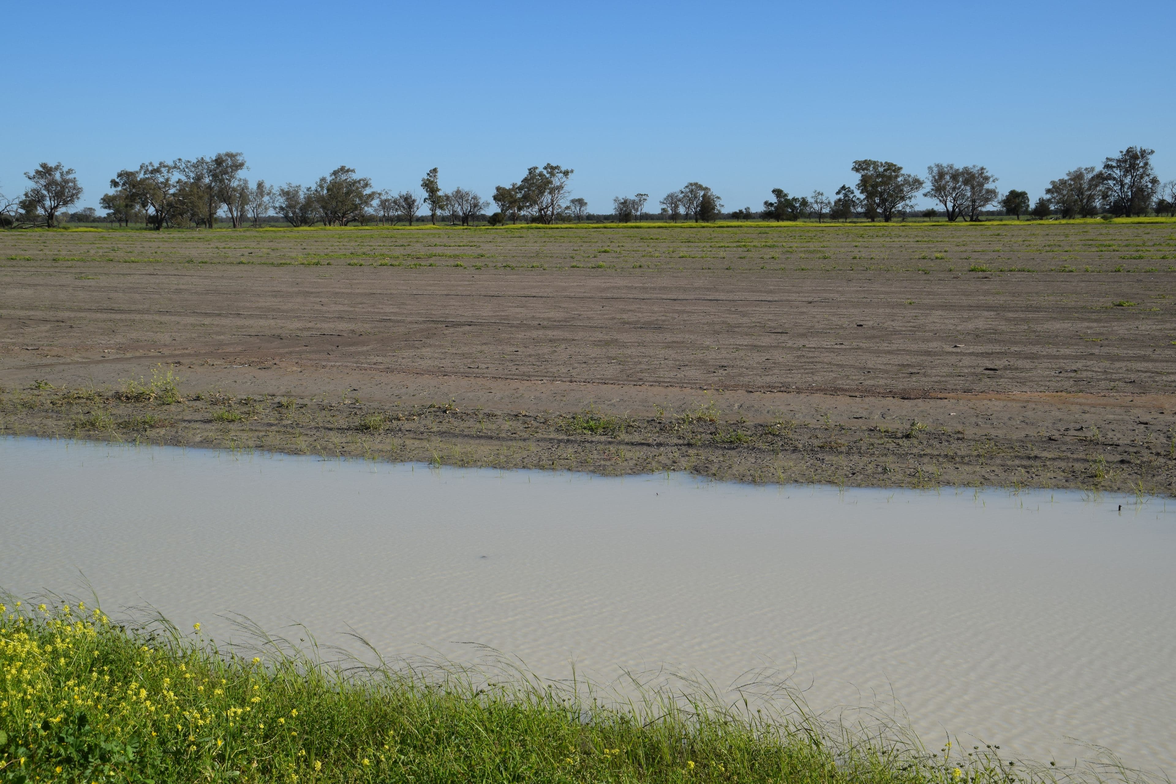 'Guiseley' 2606 Gingie Road, Walgett NSW 2832, Walgett - Thumbnail 3