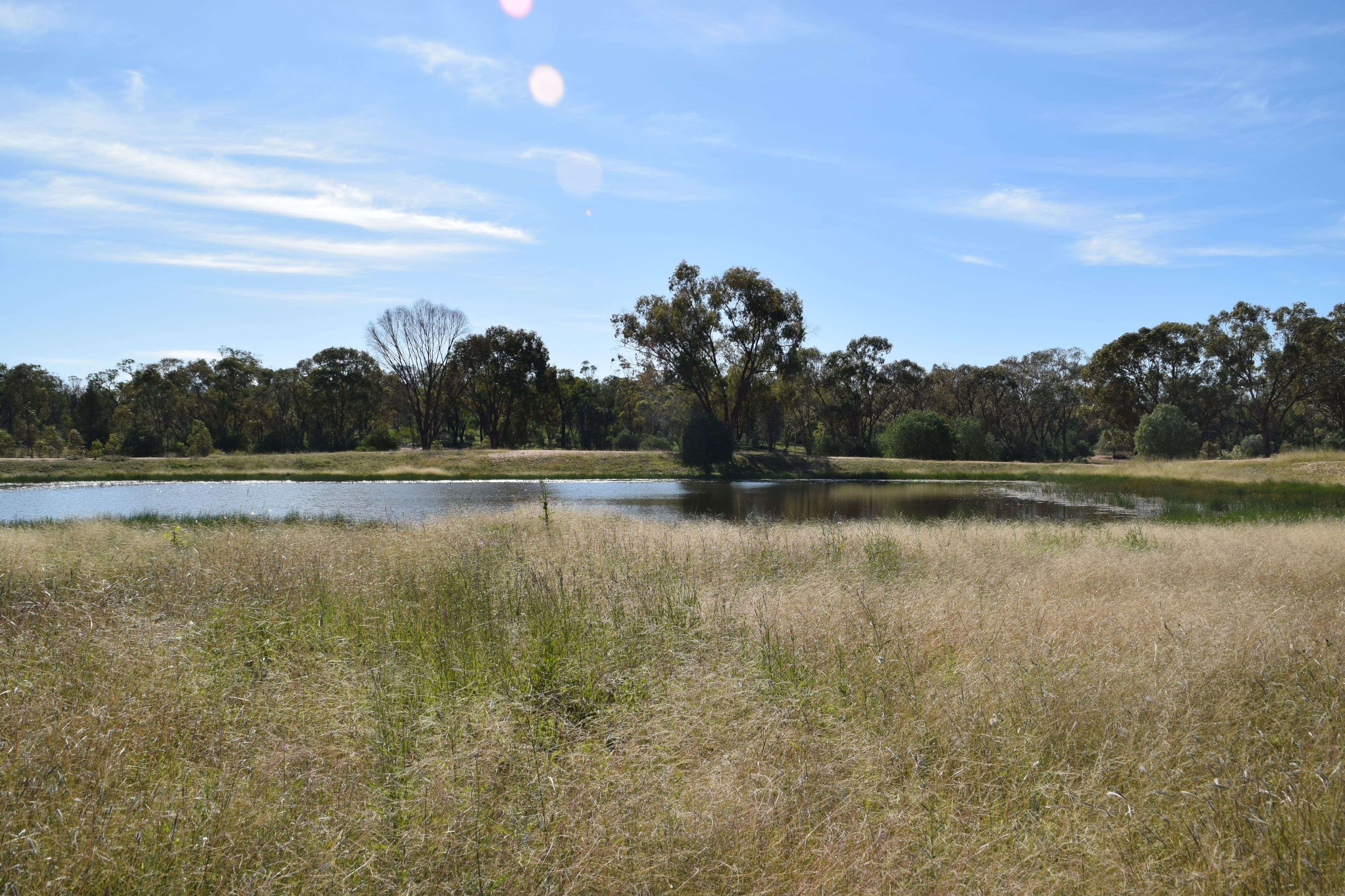 The Additional 123 Strudwicks Road, Tottenham NSW 2873, Tottenham - Thumbnail 2