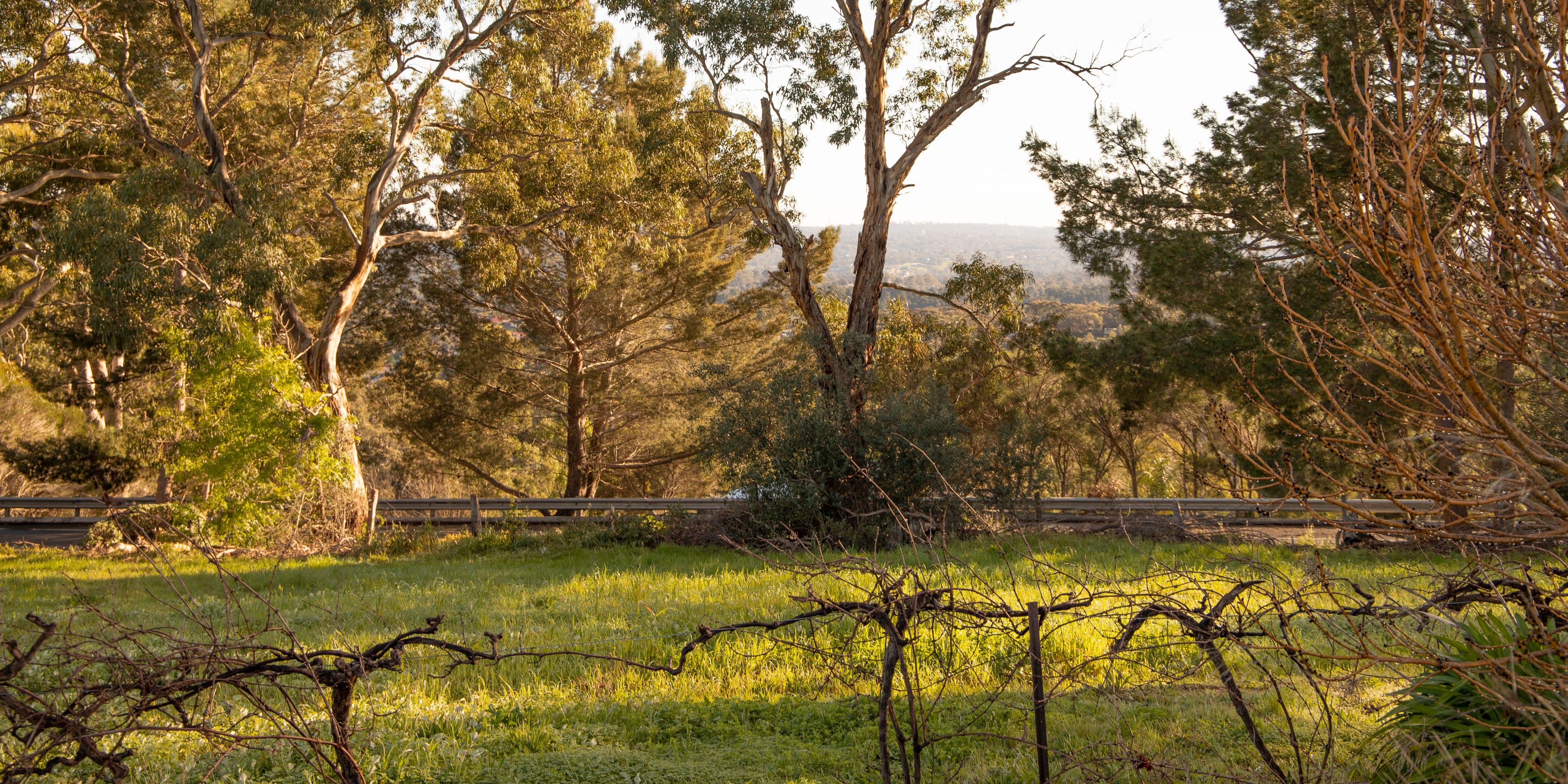 Lot 4, 240A Chandlers Hill Road, Happy Valley SA 5159, Happy Valley - Thumbnail 4