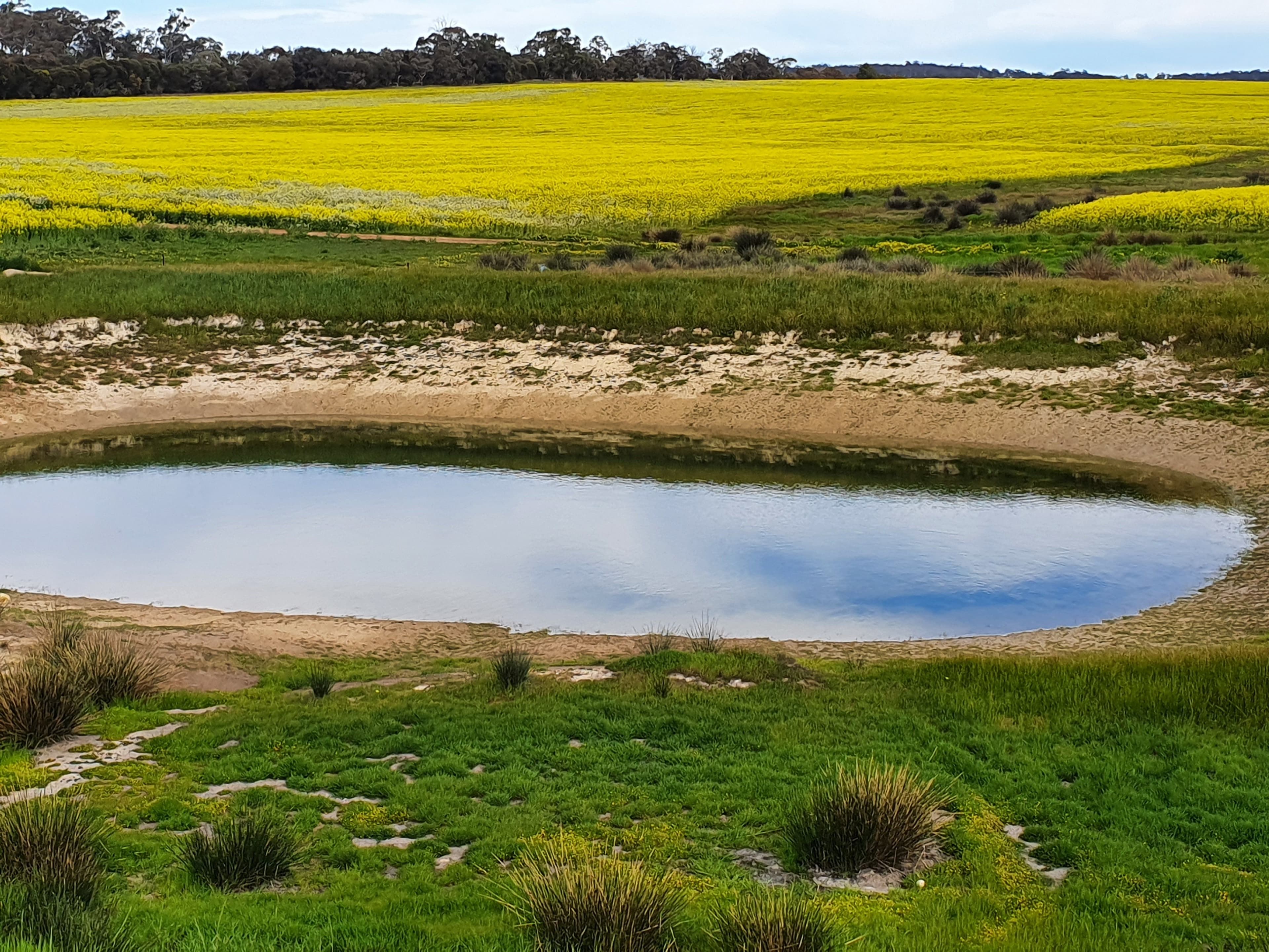 23 Westdale Road, Beverley WA 6304, Beverley - Thumbnail 6