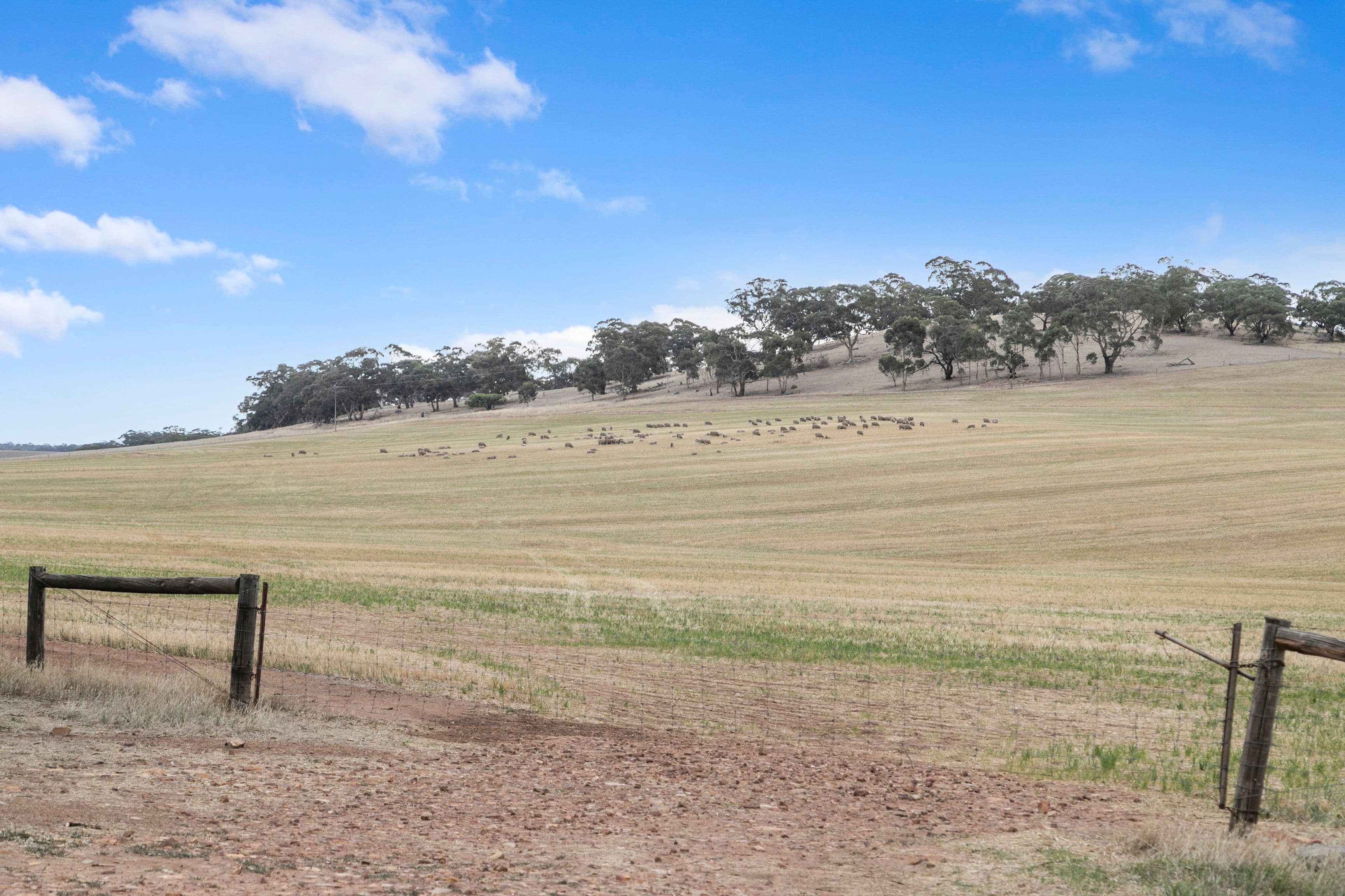 'Manoora Block' Wilmott Road, Manoora SA 5414, Manoora - Image 1