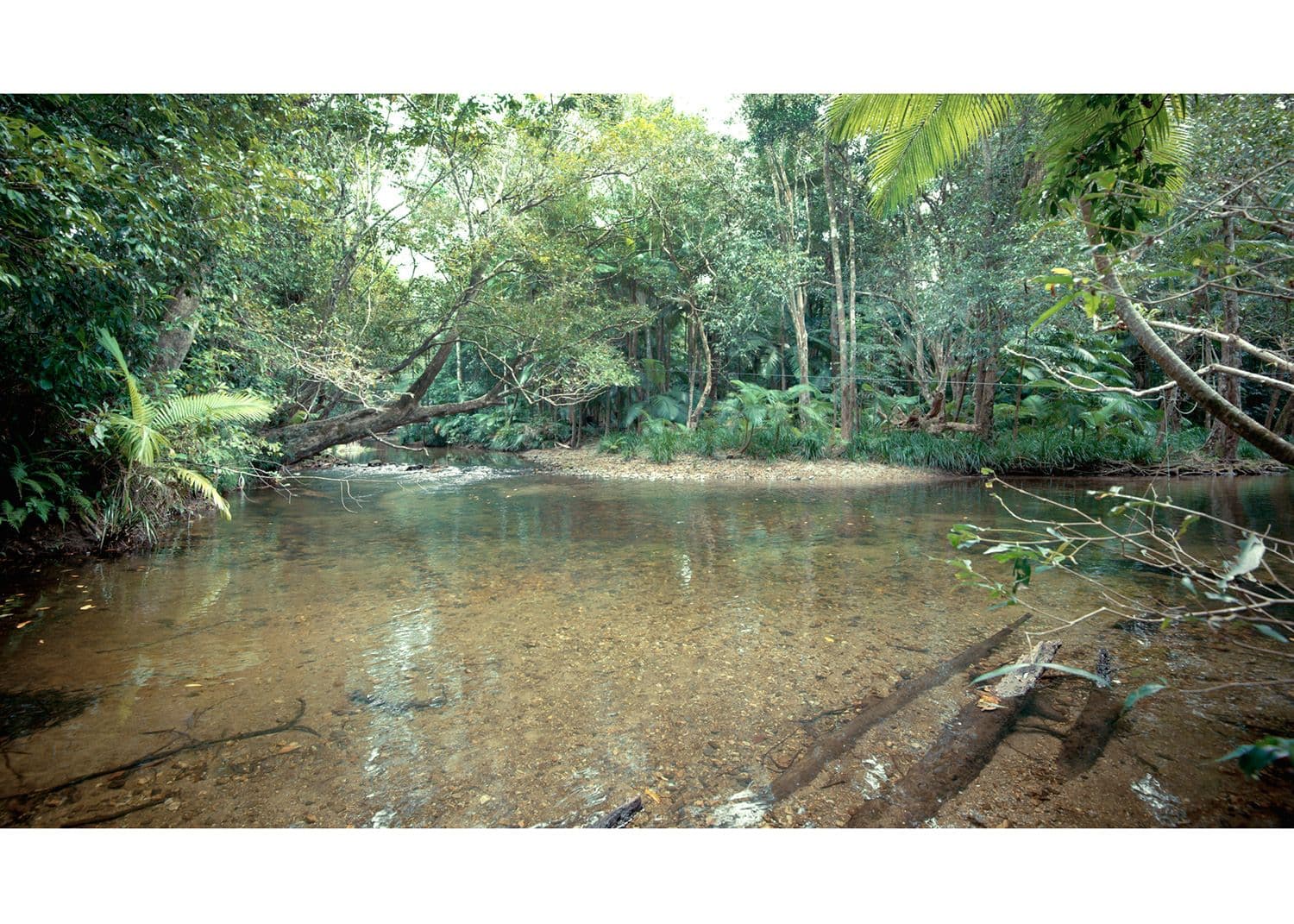 194 Ponzo Road, Shannonvale QLD 4873, Shannonvale - Thumbnail 8