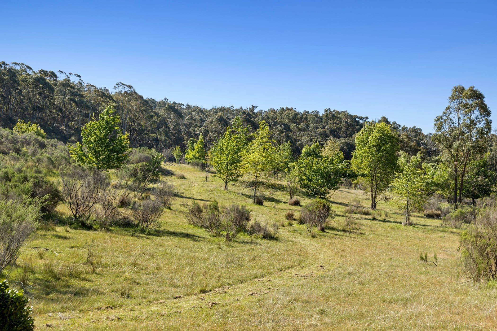 Helge Track, Glenluce VIC 3451, Glenluce - Thumbnail 6