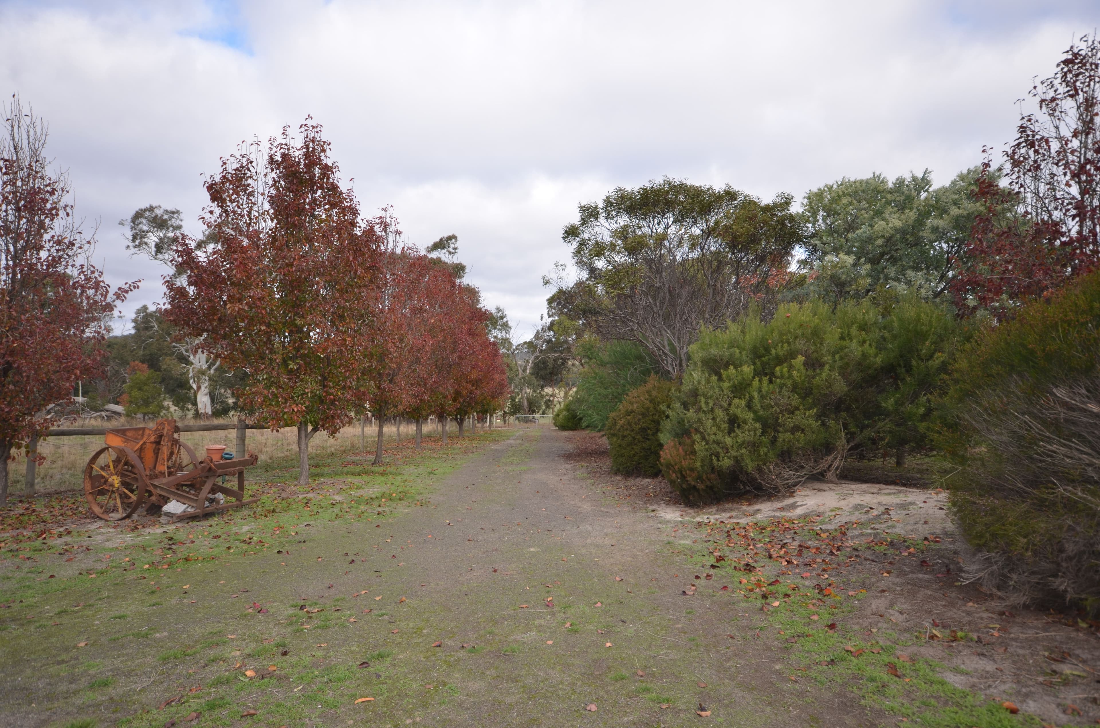 56 Mount Lonarch Road, Mount Lonarch VIC 3468, Mount Lonarch - Thumbnail 4