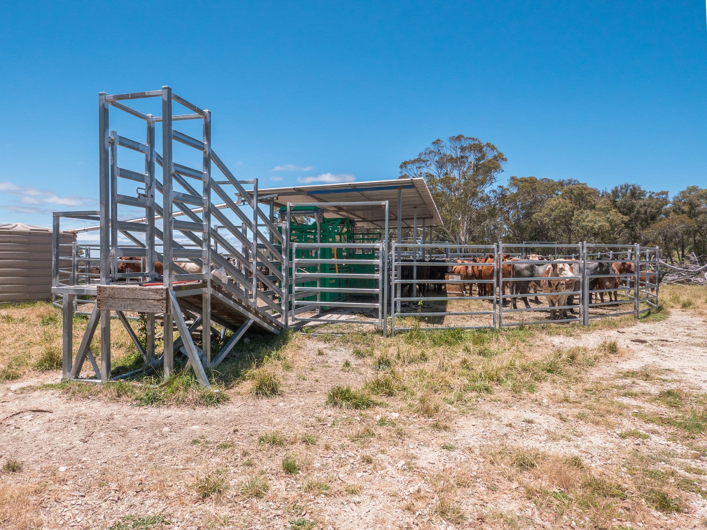 286 Mount Mitchell Road, Guyra NSW 2365, Guyra - Thumbnail 6