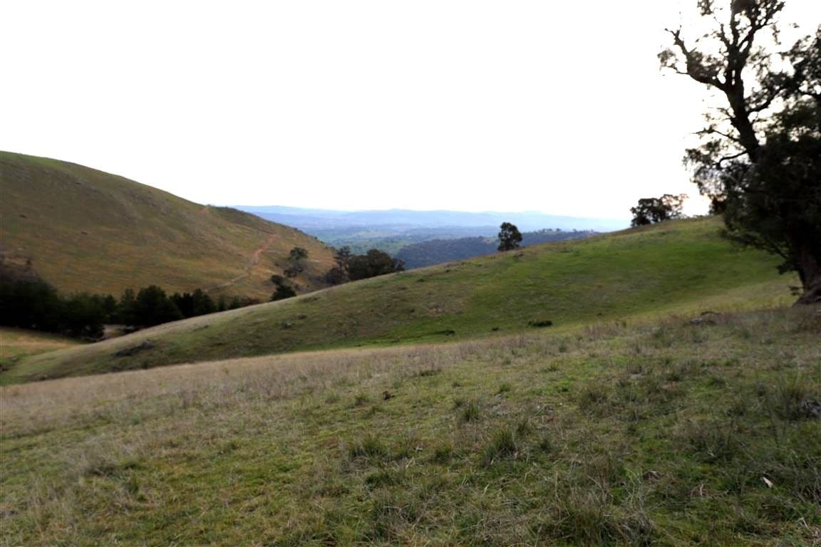 837 Argalong Road, Argalong NSW 2720, Argalong - Thumbnail 7
