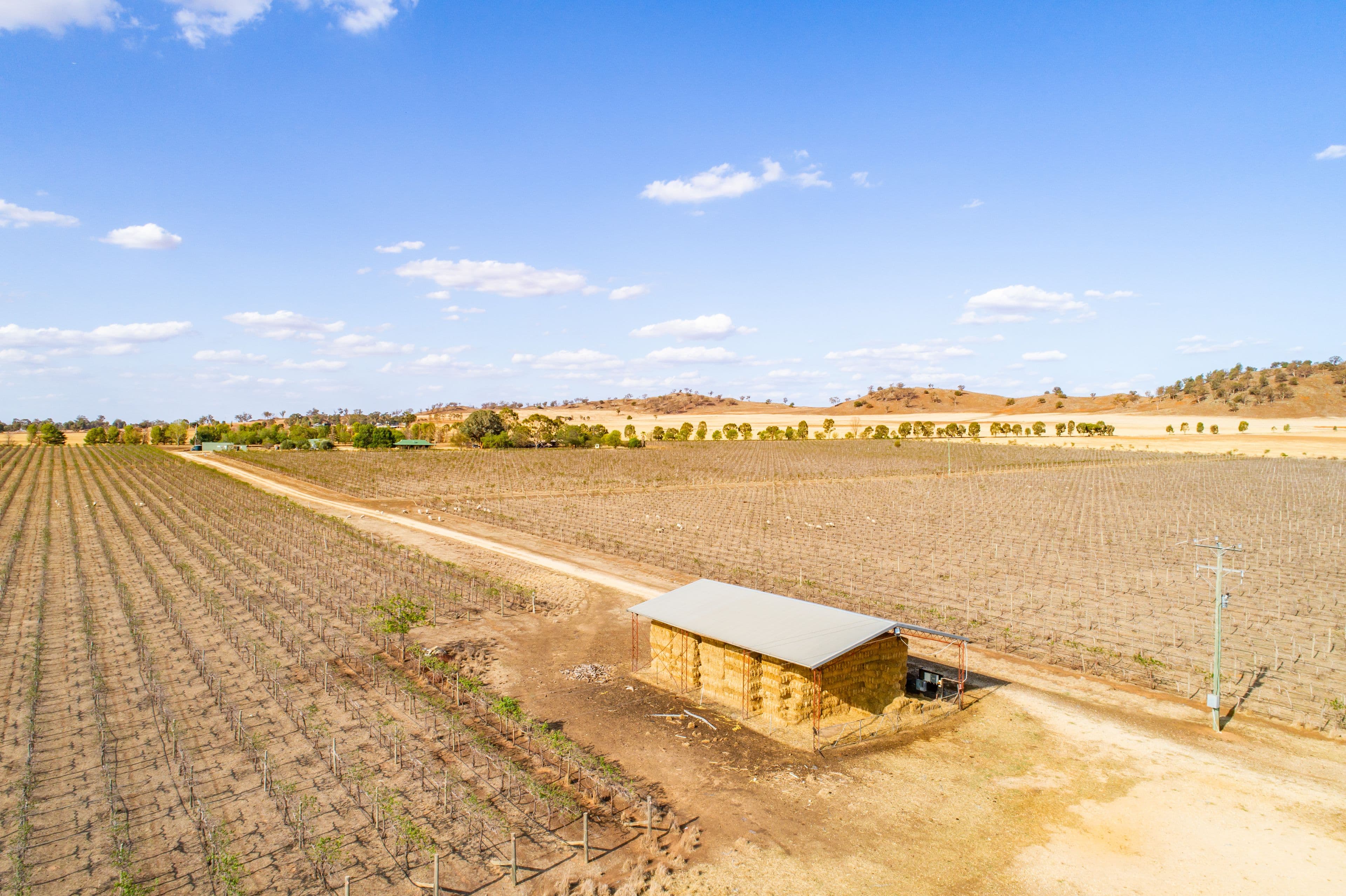 287 Mount Lewis Road, Canowindra NSW 2804, Canowindra - Thumbnail 4