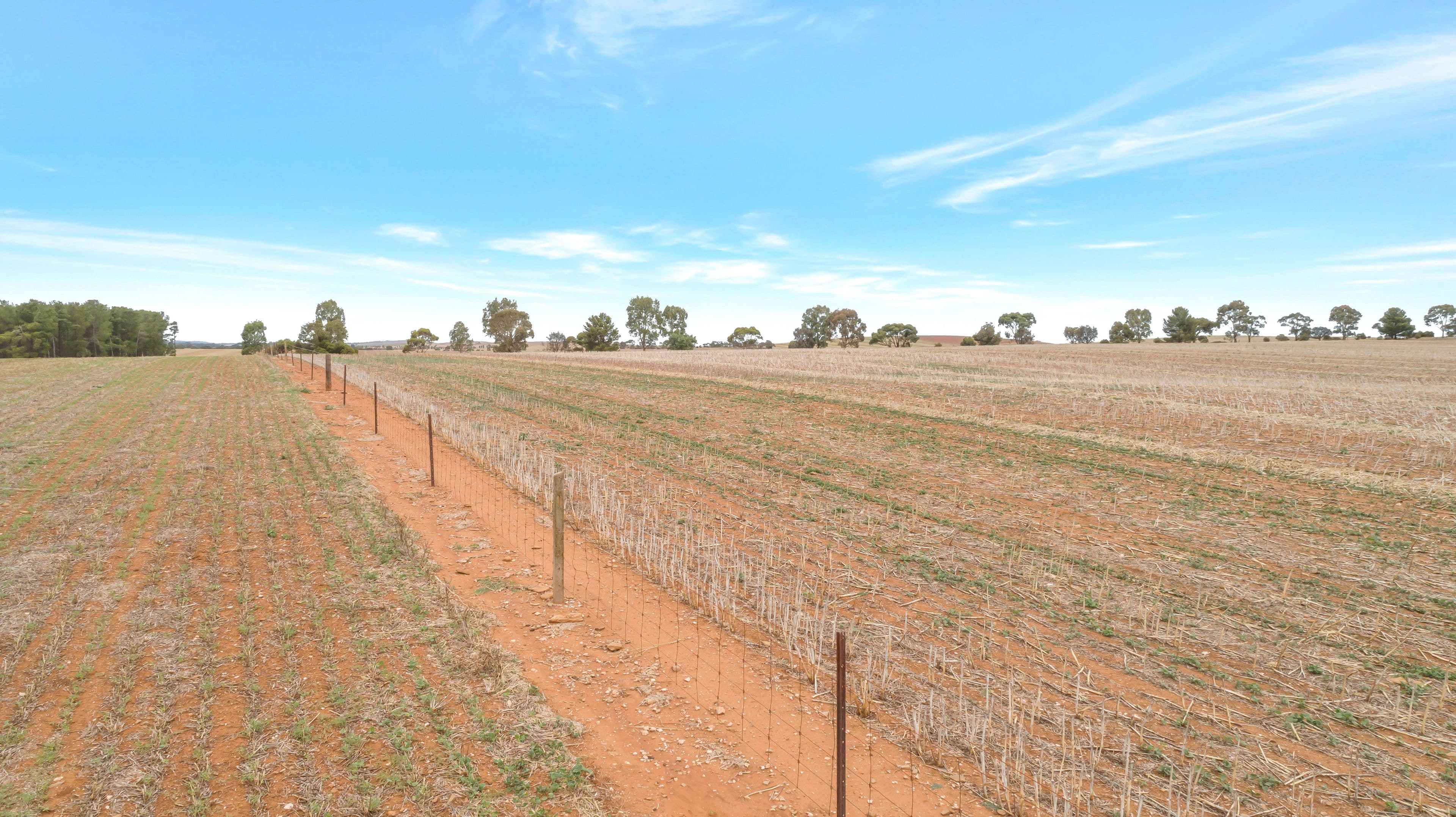 'Pinewood' Hilltown Road, Hilltown SA 5455, Hilltown - Image 1