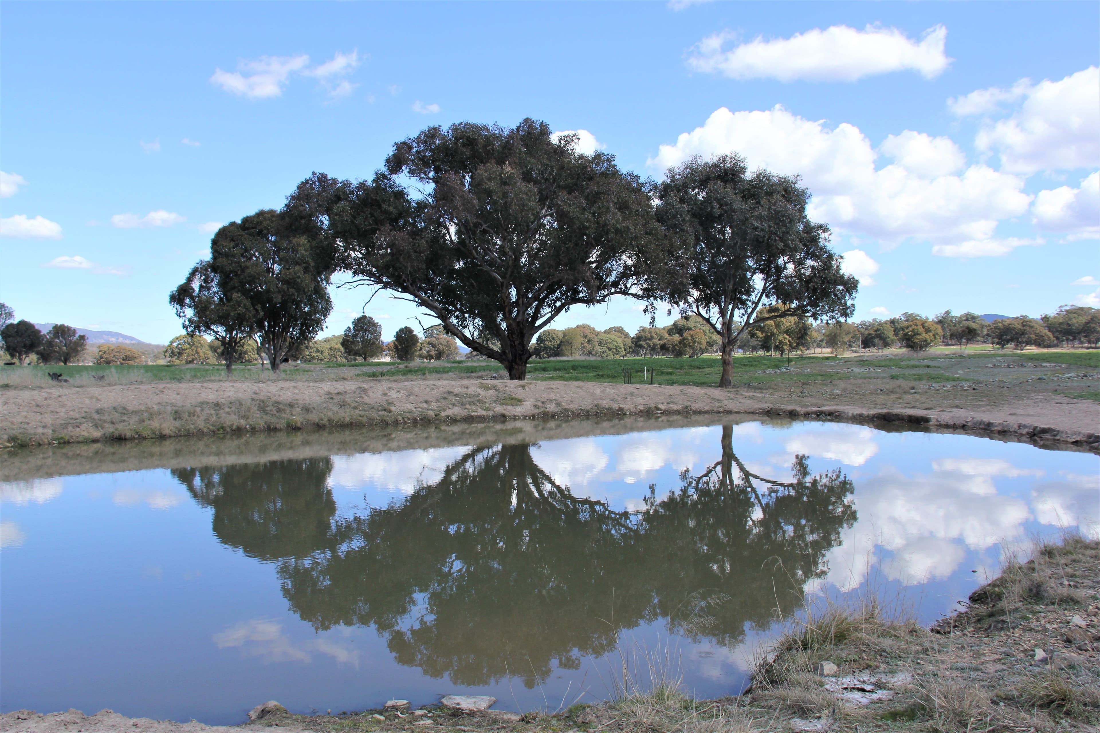 214 Tarban Loop Road, Tenterfield NSW 2372, Tenterfield - Thumbnail 7