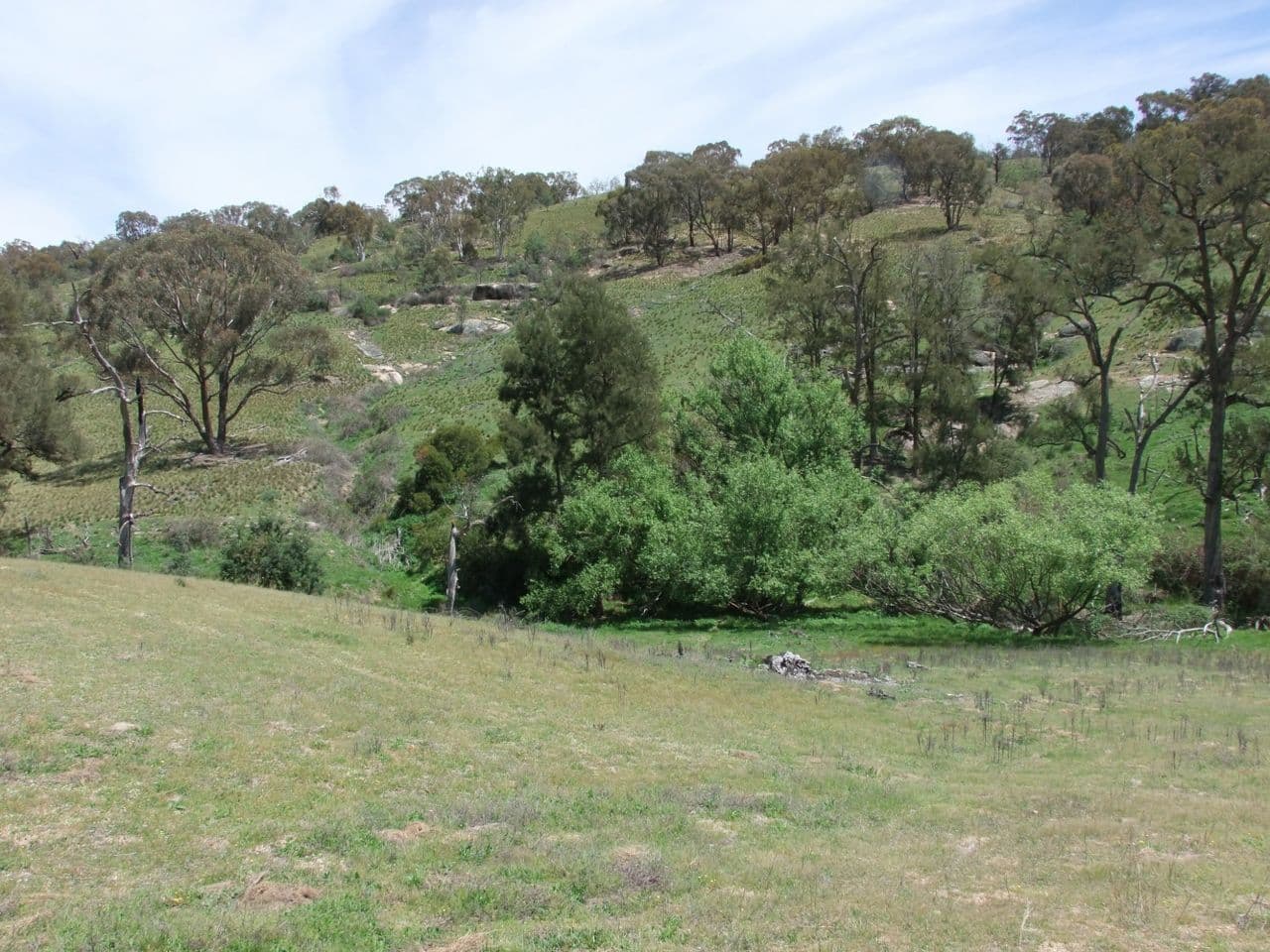 Bathurst NSW 2795, Bathurst - Thumbnail 6