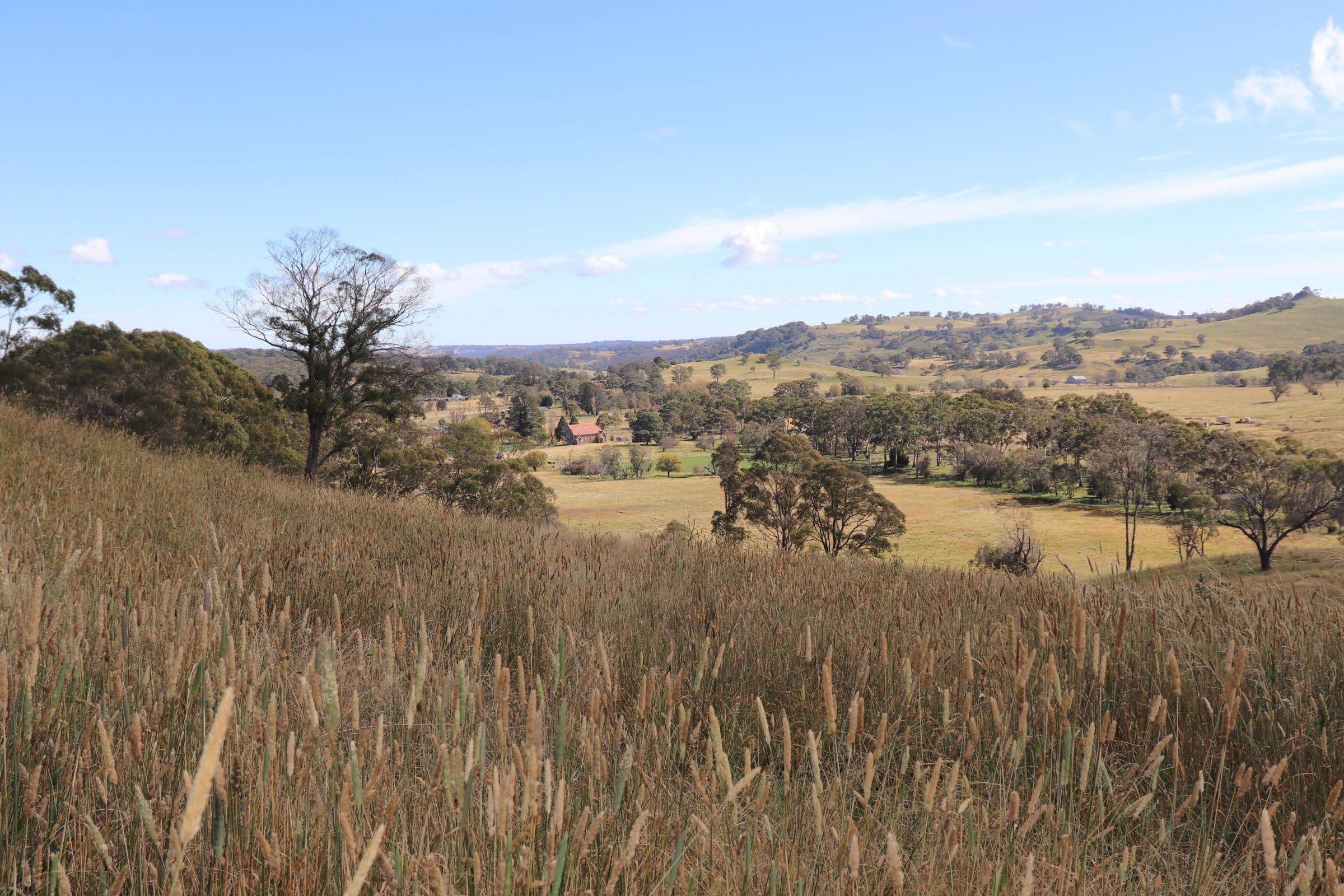 489 Inn Road, Ben Lomond NSW 2365, Ben Lomond - Thumbnail 5