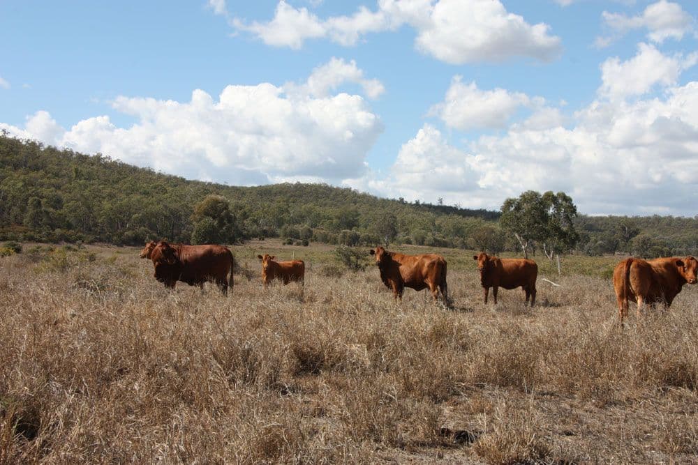 Jambin QLD 4702, Jambin - Image 1