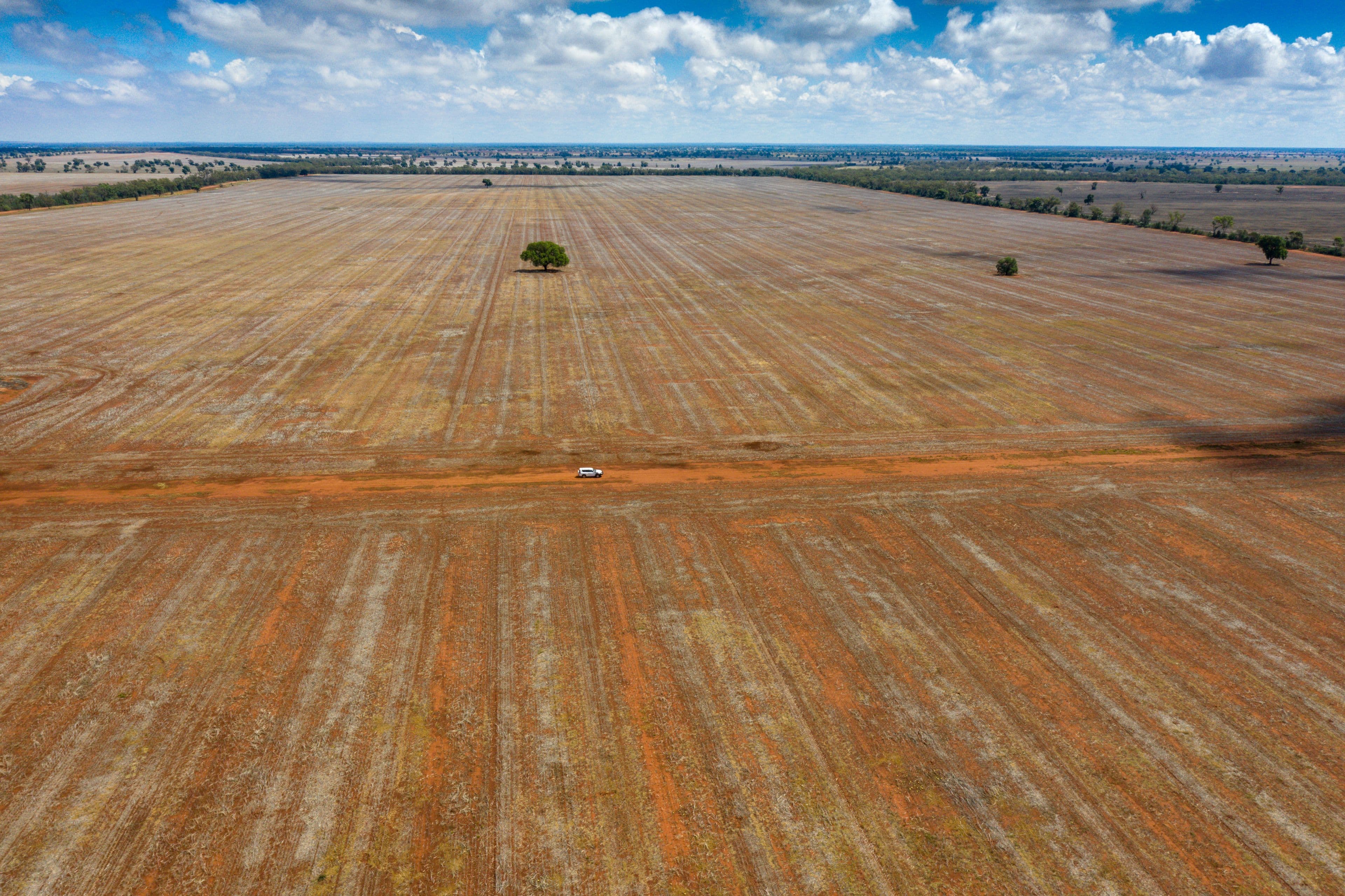 4669 Tabratong Crossing Road, Tottenham NSW 2873, Tottenham - Image 1