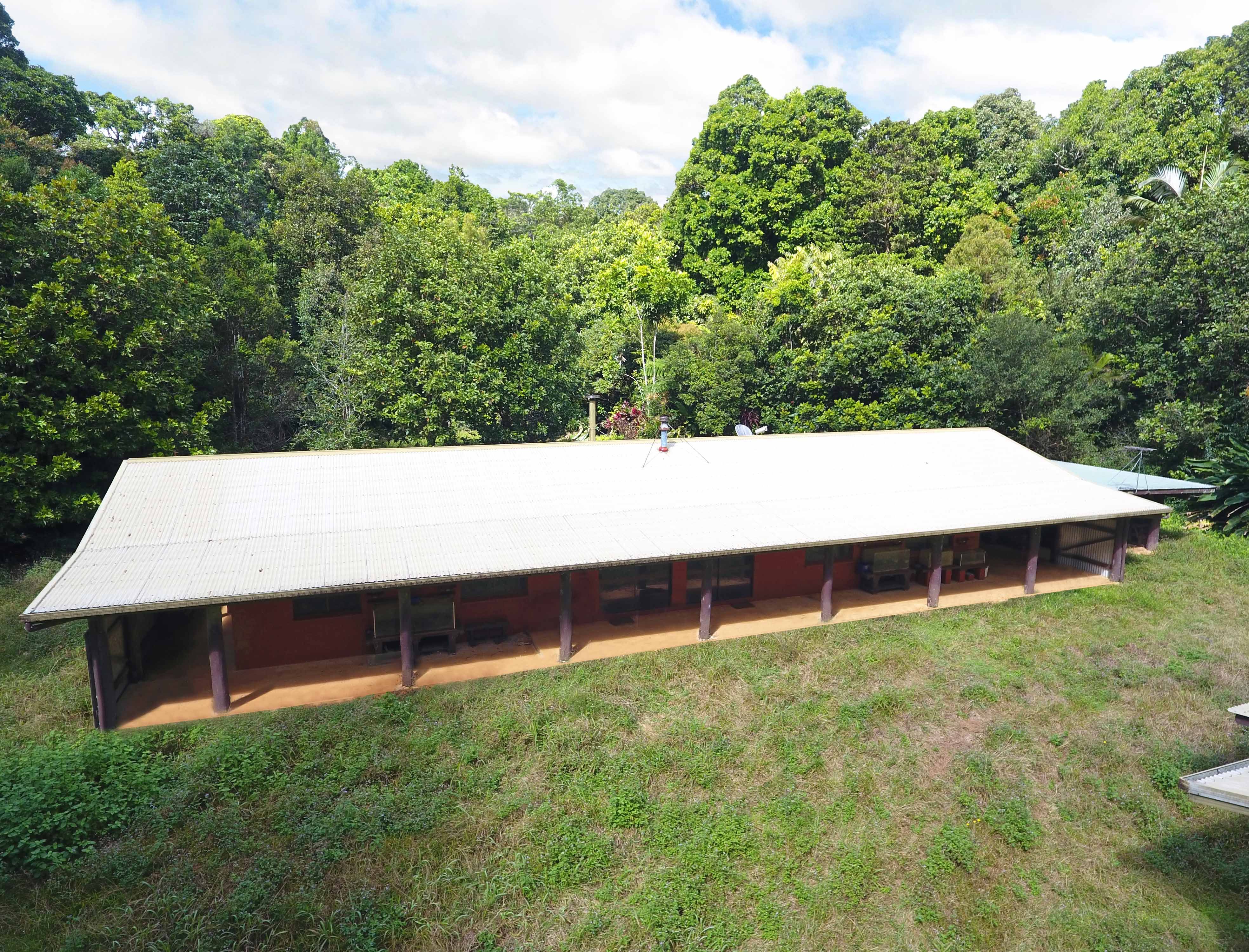 1556 Beatrice Way, Ravenshoe QLD 4888, Ravenshoe - Thumbnail 2