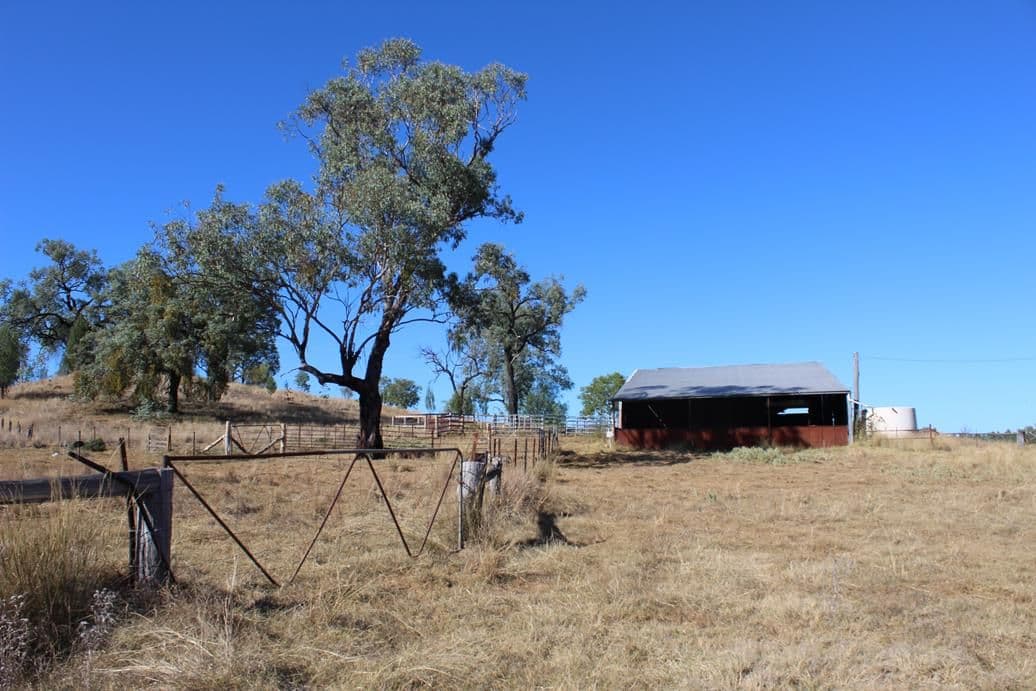 733 Upper Whitlow Road, Bingara NSW 2404, Bingara - Thumbnail 4