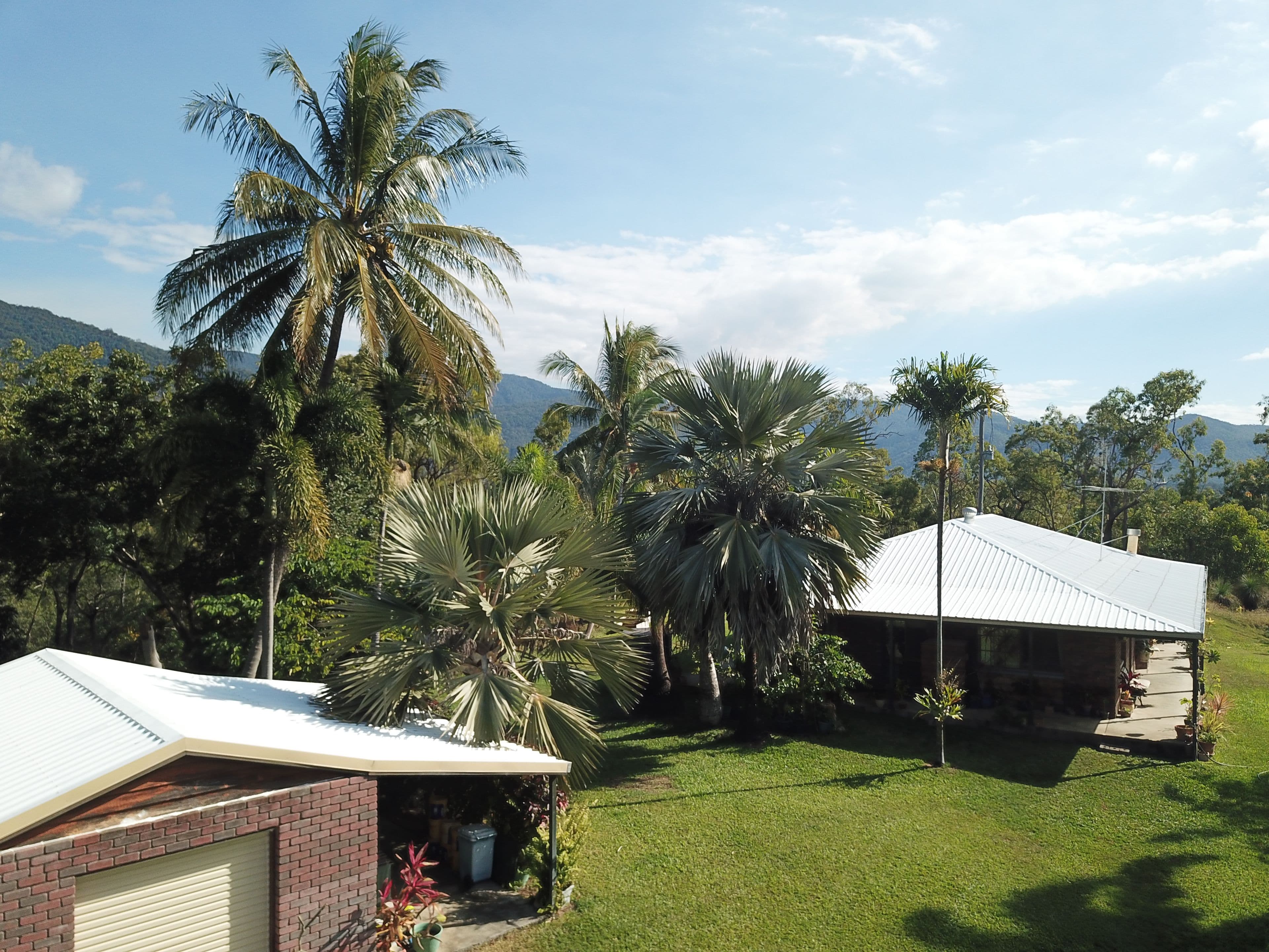 56 Probert Road, Bambaroo QLD 4850, Bambaroo - Image 1