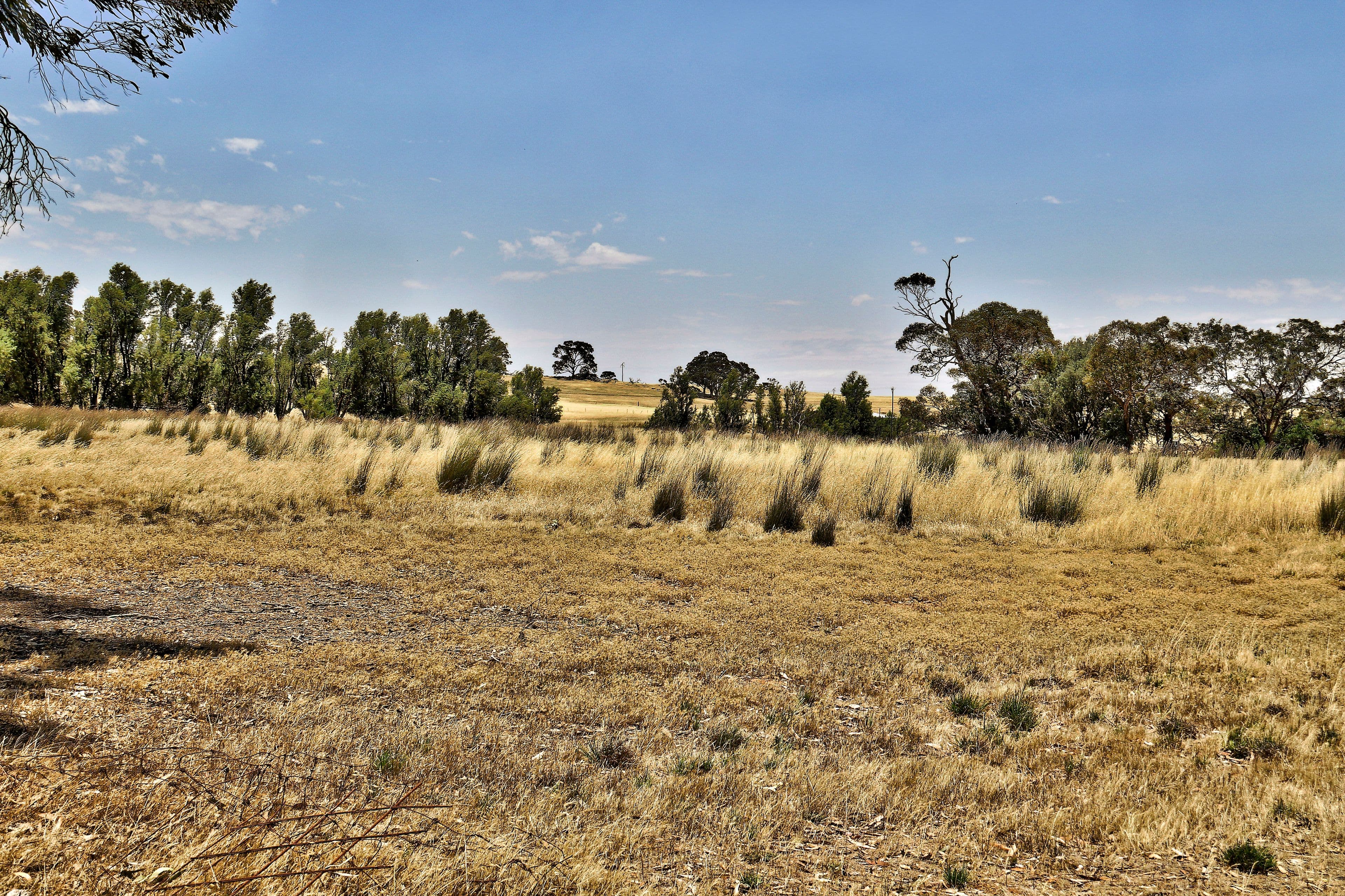 "Tarnma Block" Curio Highway, HAMPDEN SA 5374, Hampden - Thumbnail 5