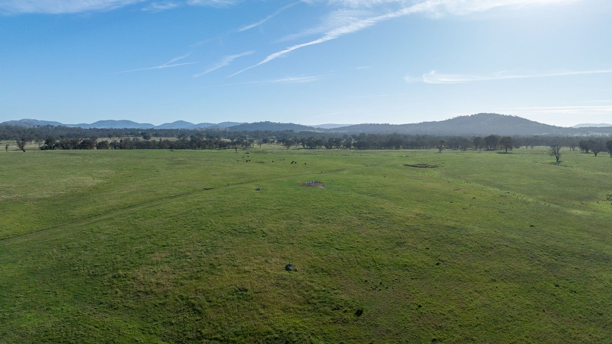 610 Gwydir Park Road, Torryburn NSW 2358, Torryburn - Thumbnail 7