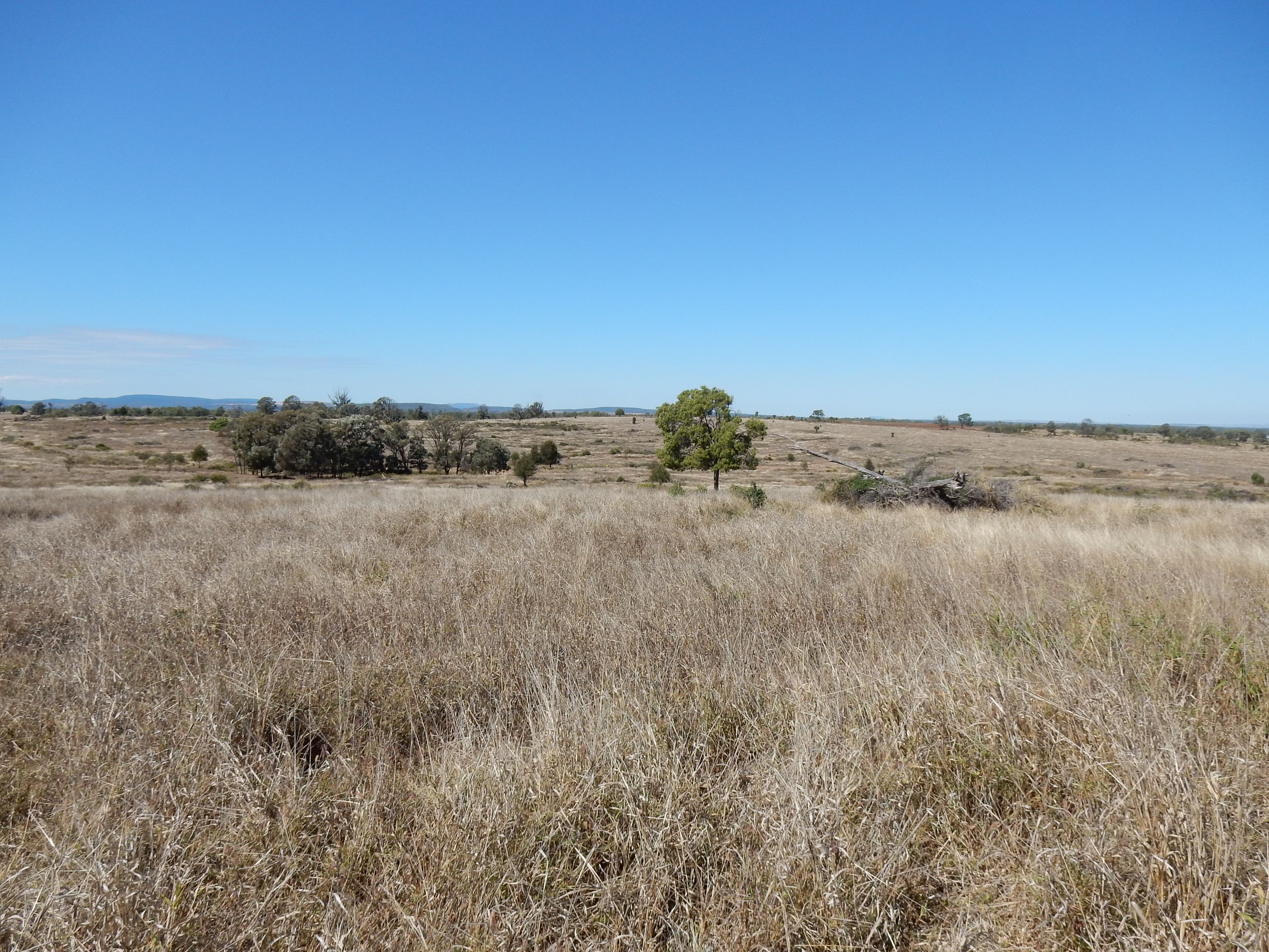 Goovigen QLD 4702, Goovigen - Thumbnail 7
