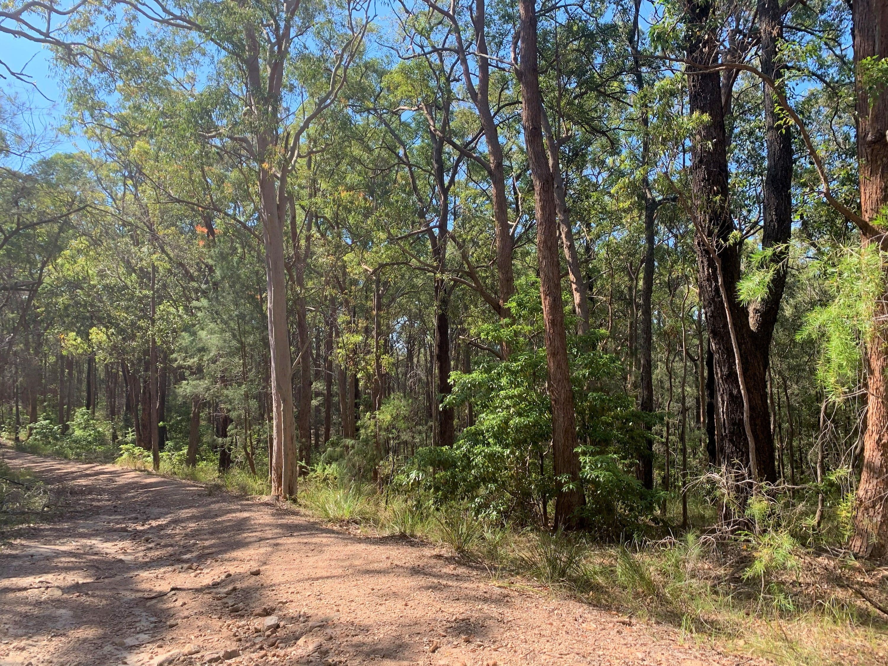 22-24 Oversea Way, North Arm Cove NSW 2324, North Arm Cove - Image 1