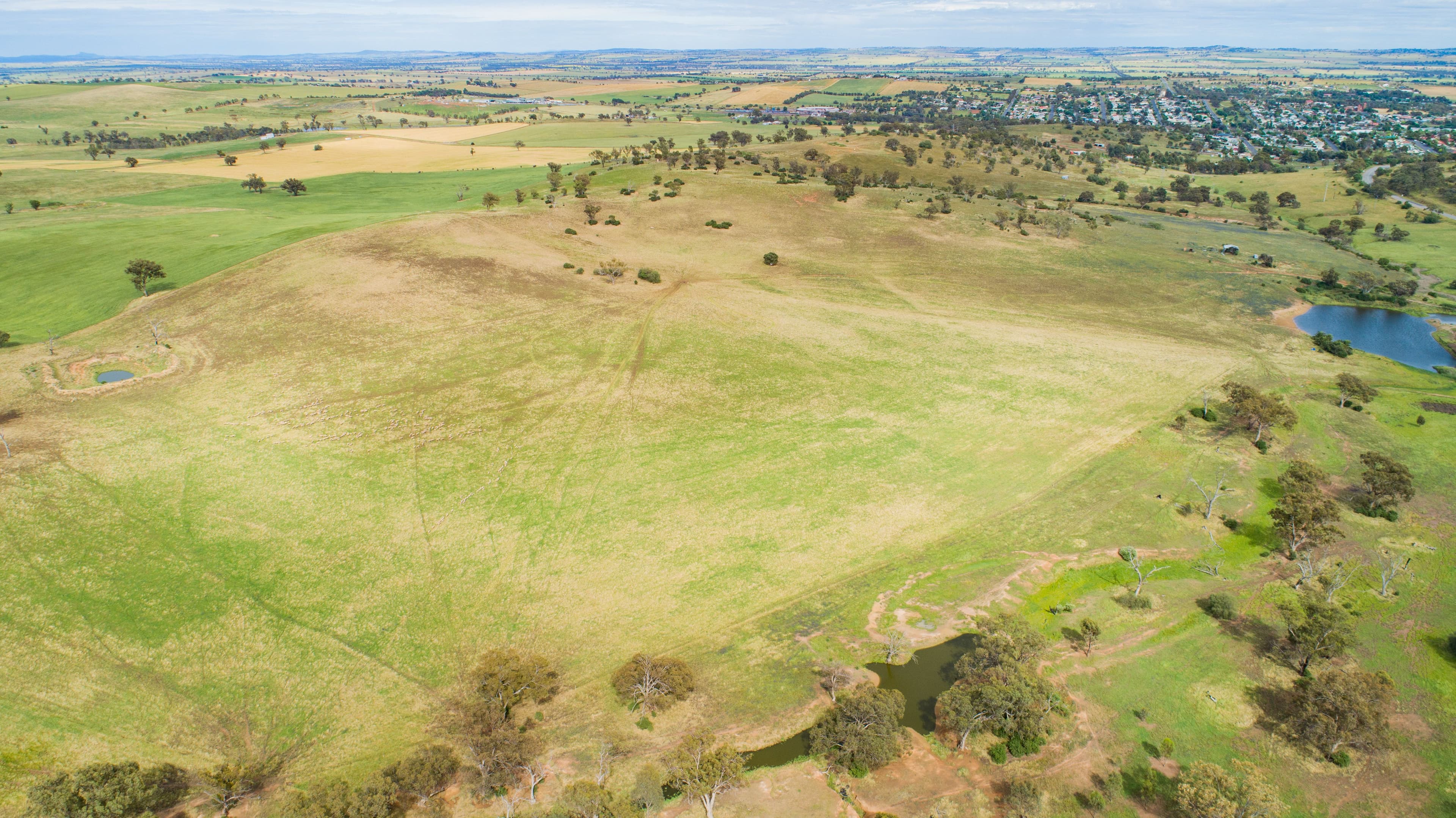 5919 Gundagai Road, Junee NSW 2663, Junee - Thumbnail 6