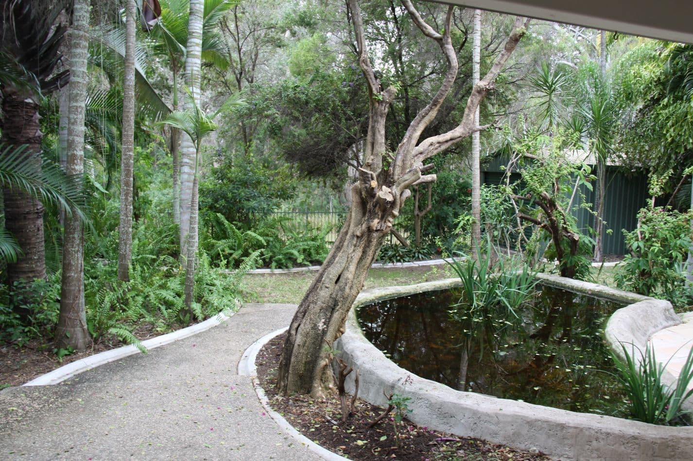 34 Alkina Crescent, Boyne Island QLD 4680, Boyne Island - Thumbnail 5