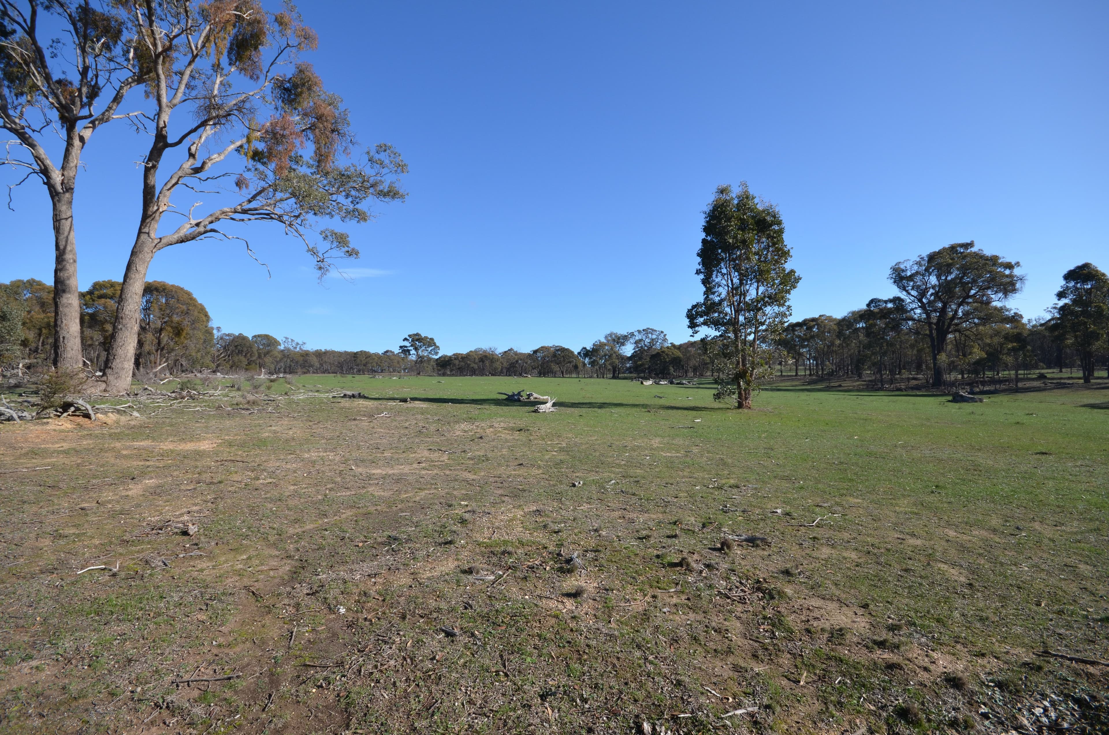 Lots 1 & 2 Lillicur West Road, Lamplough VIC 3352, Lamplough - Thumbnail 4
