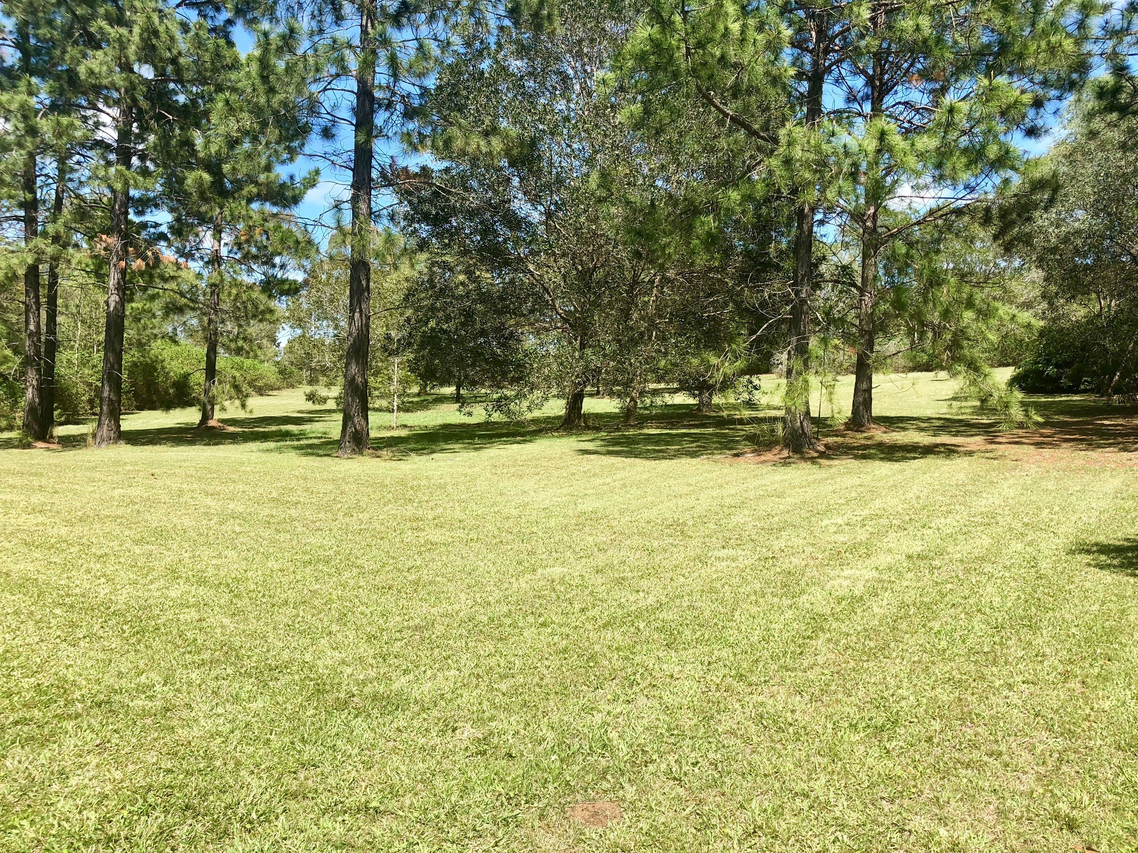 Lot 49 Greenhills Drive, Blackbutt QLD 4314, Blackbutt - Thumbnail 4