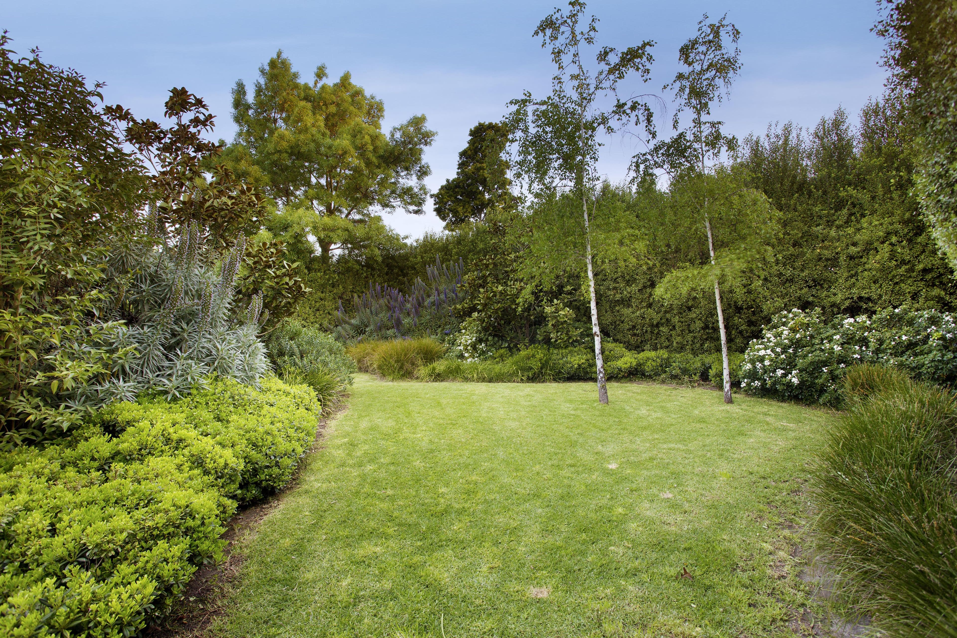 58 Cascade Street, Balwyn North VIC 3104, Balwyn North - Thumbnail 7