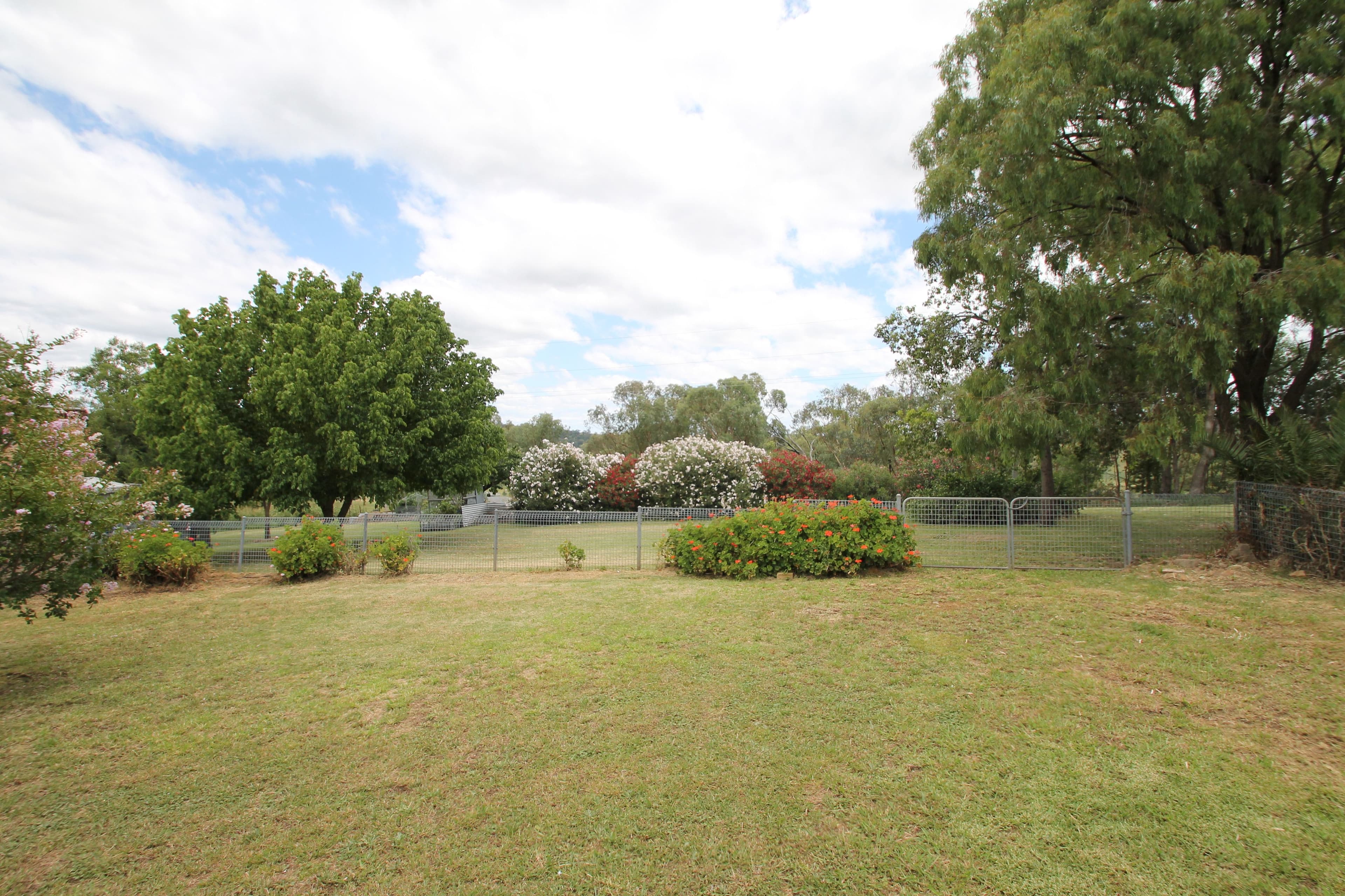 50 Nowland Avenue, Quirindi NSW 2343, Quirindi - Thumbnail 2