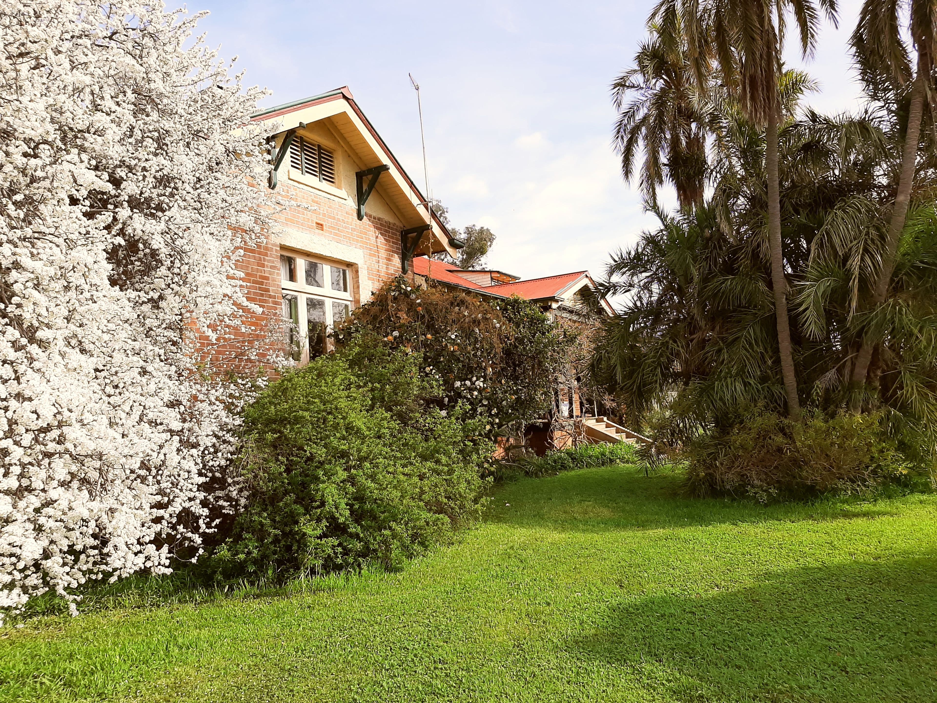Grenfell NSW 2810, Grenfell - Thumbnail 4