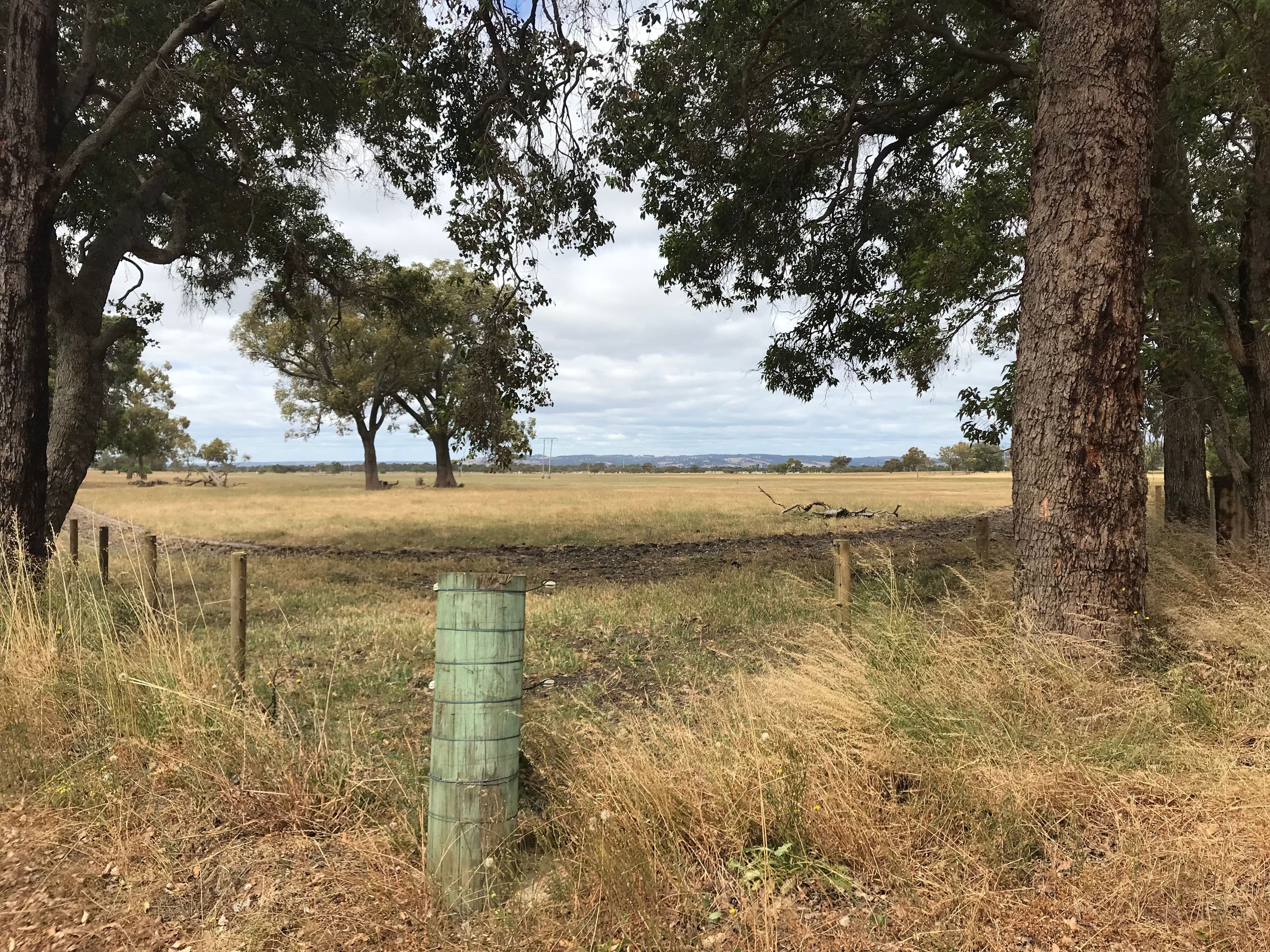 Lot 58 Martin-Pelusey Road, Waterloo WA 6228, Waterloo - Thumbnail 5