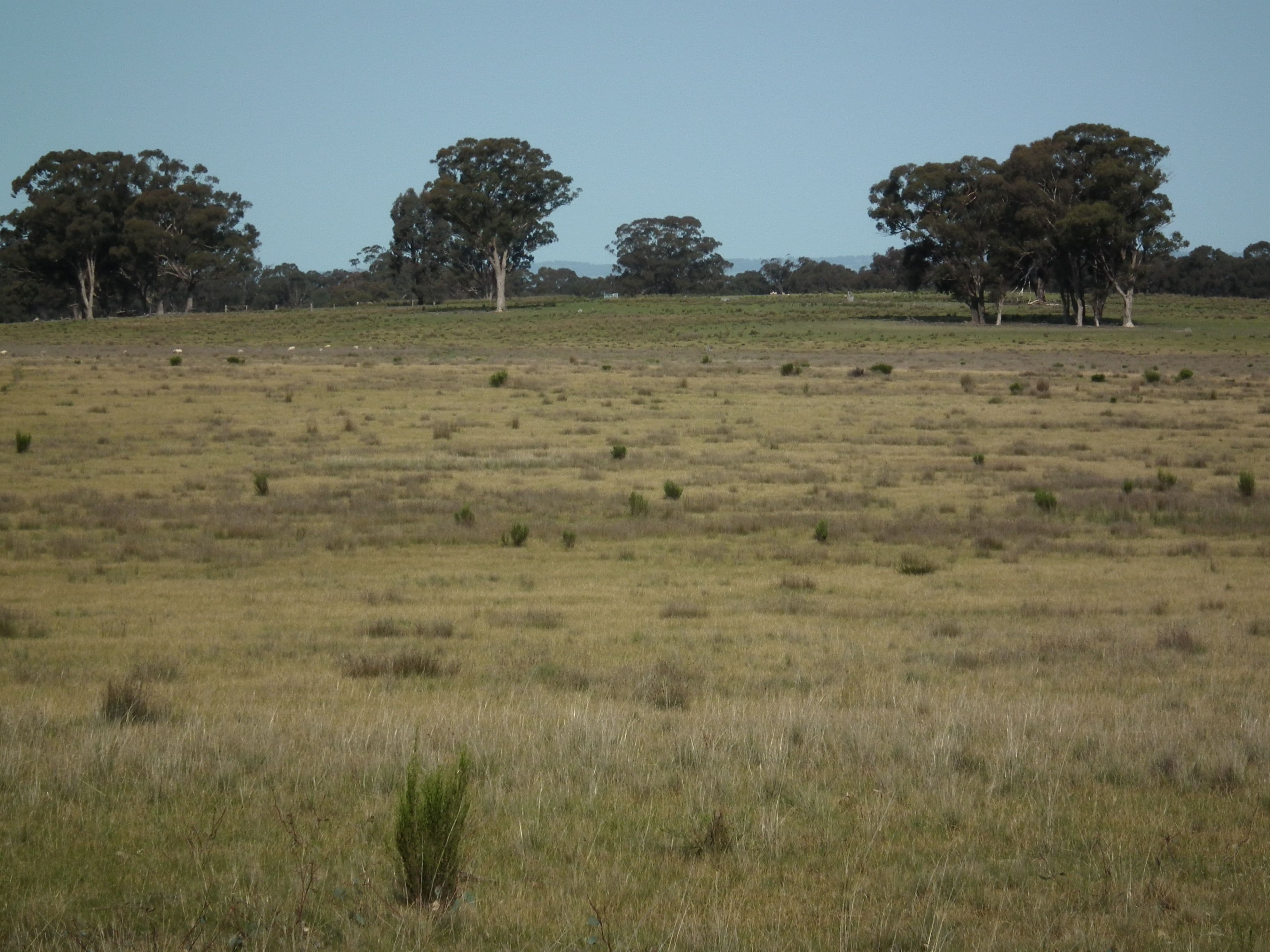 "Dwyers" Snipey Road, KIRWANS BRIDGE VIC 3608, Kirwans Bridge - Thumbnail 6