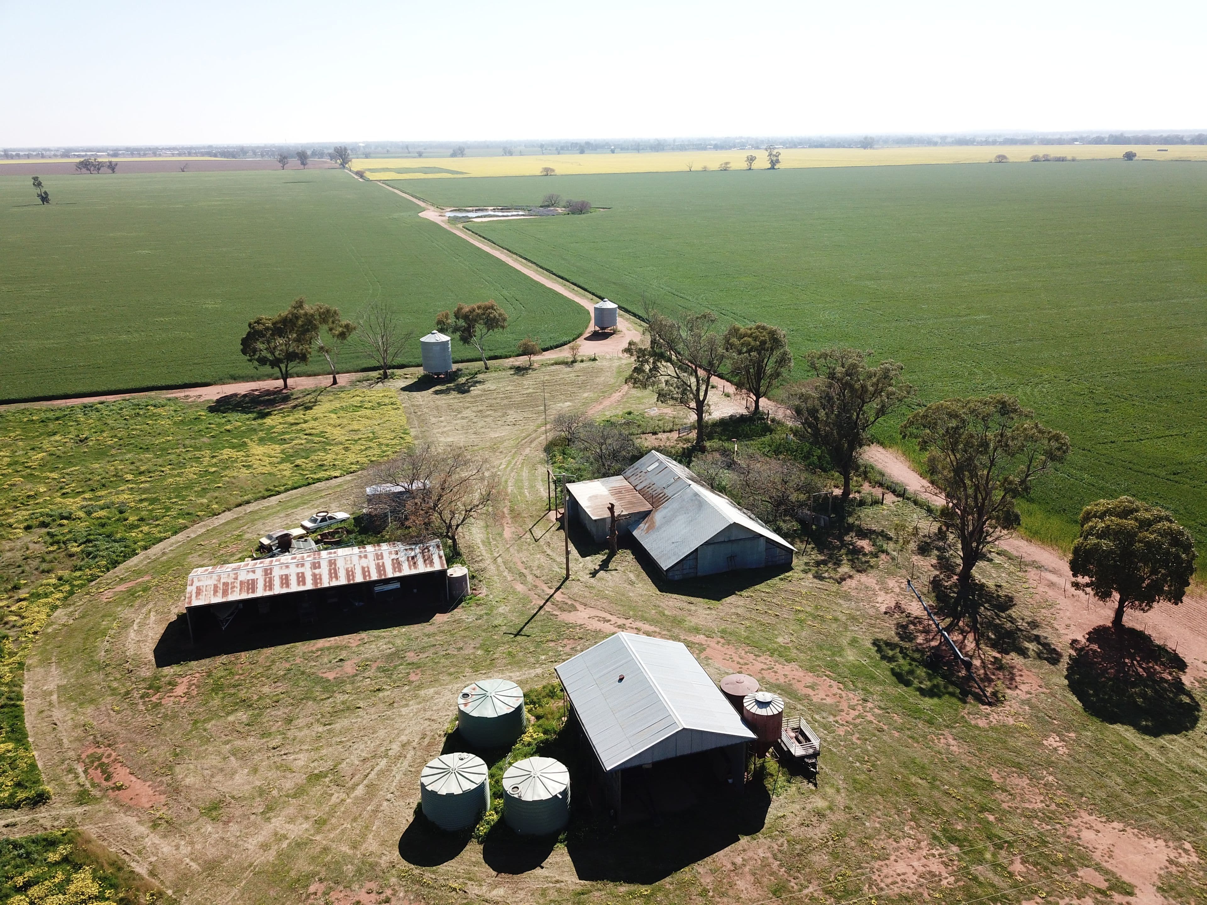 'Iona' 162 Craigie Lea Lane, Narromine NSW 2821, Narromine - Thumbnail 5