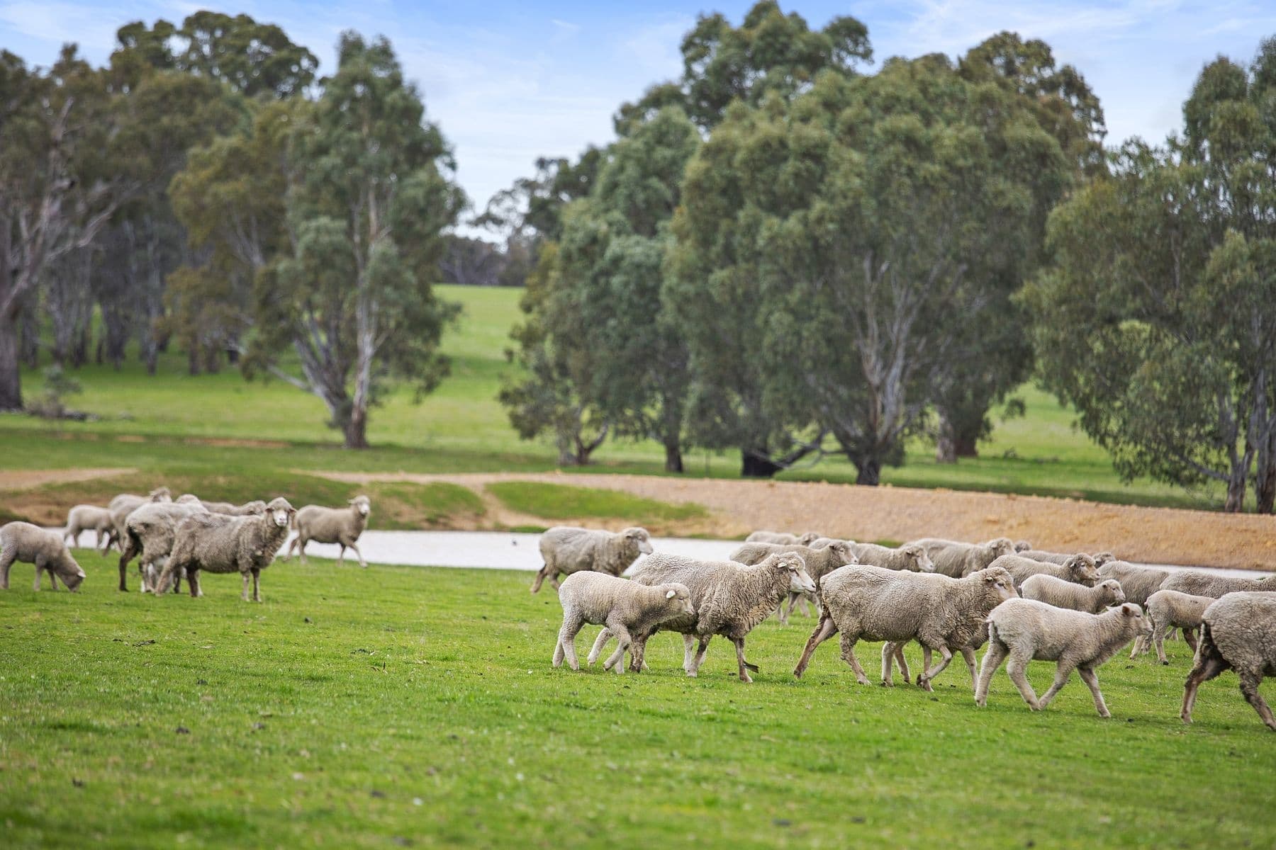 1094 Sandbar Road, Lake Lonsdale VIC 3381, Lake Lonsdale - Thumbnail 5