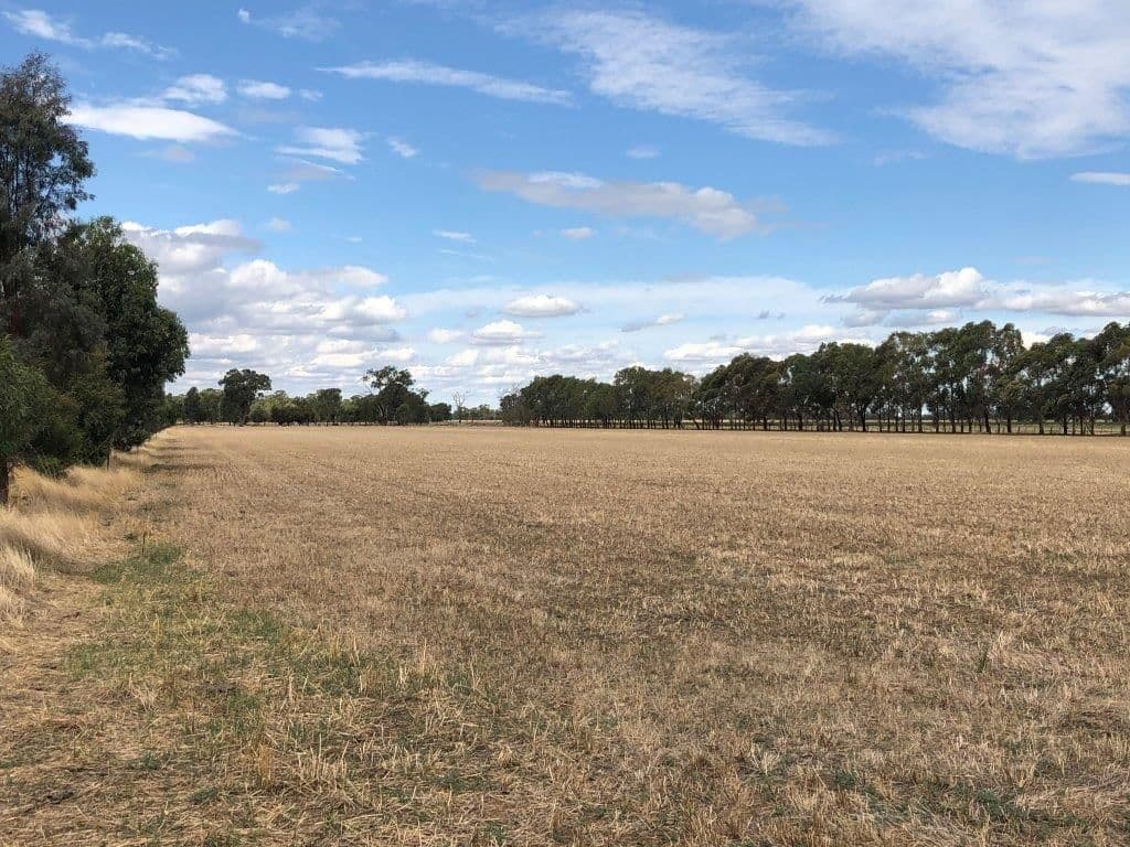 513 Mckenzie Road, Mooroopna North West VIC 3616, Mooroopna North West - Image 1