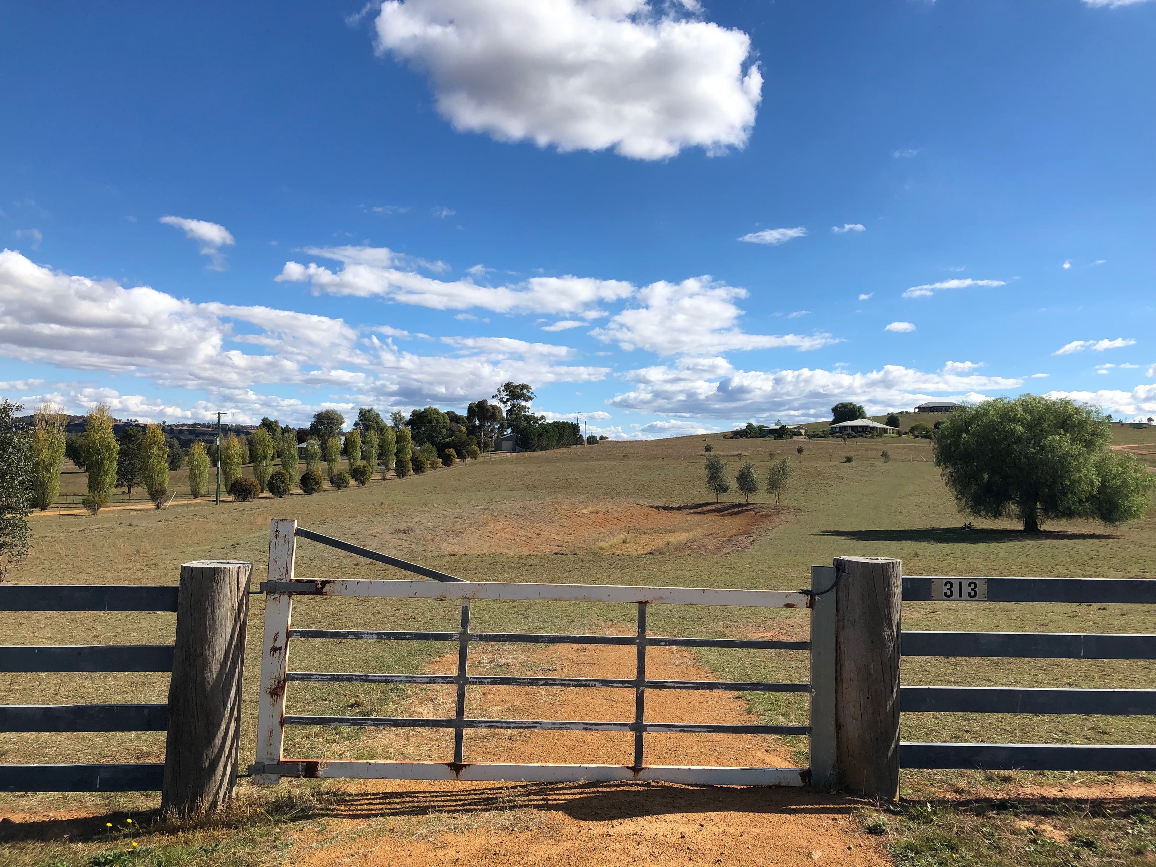 313 Elouera Road, Cowra NSW 2794, Cowra - Thumbnail 5