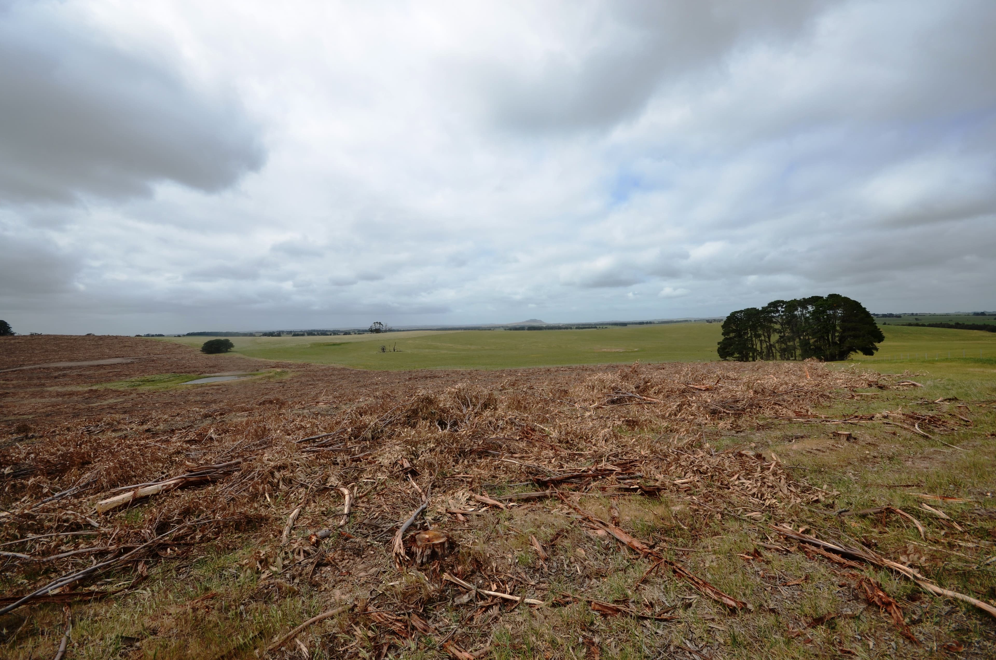 Lot 1 "Curlewis" Ellis Road, BEAUFORT VIC 3373, Beaufort - Thumbnail 6