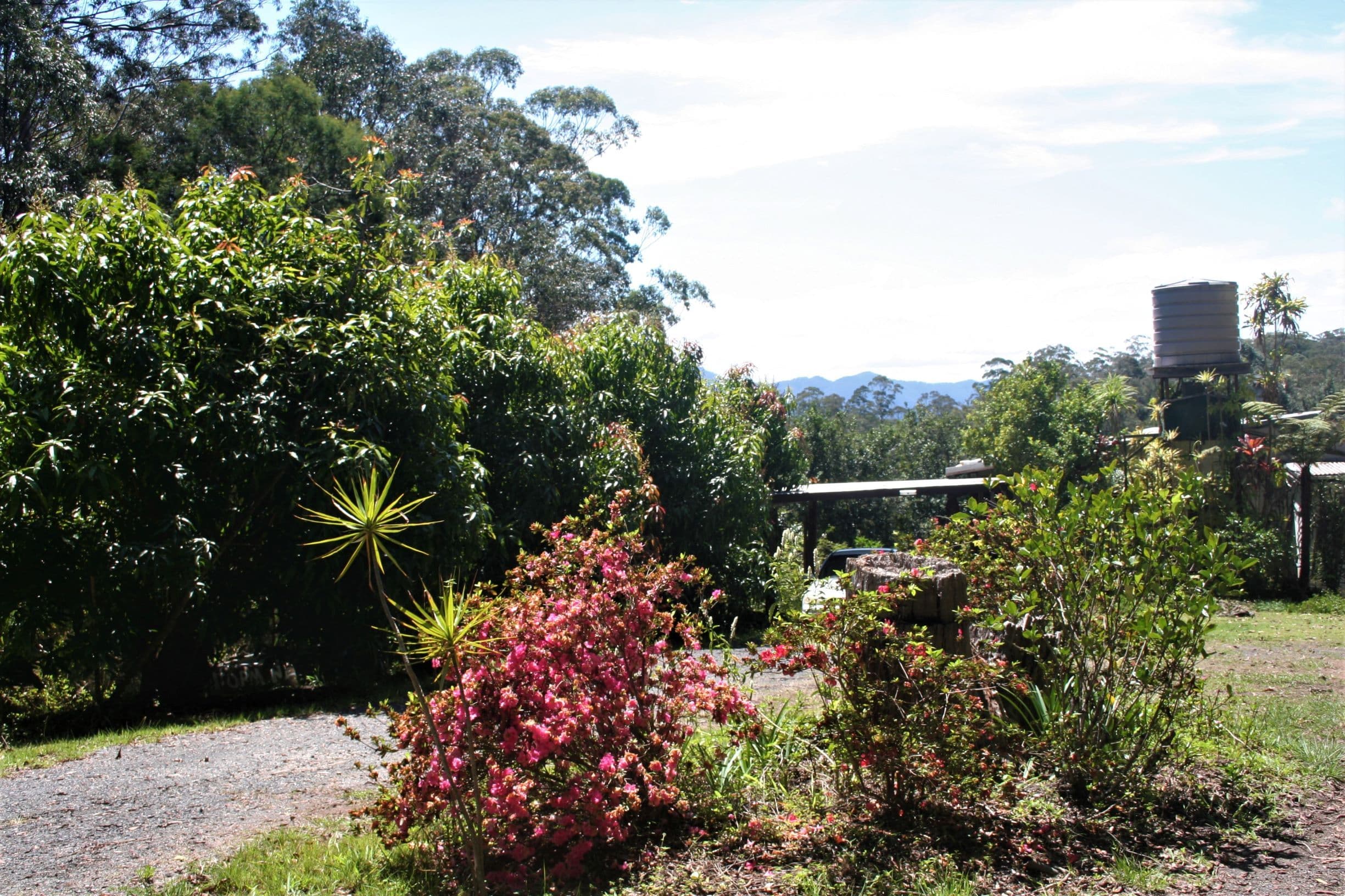139 Hennesseys Lane, Bellingen NSW 2454, Bellingen - Thumbnail 2