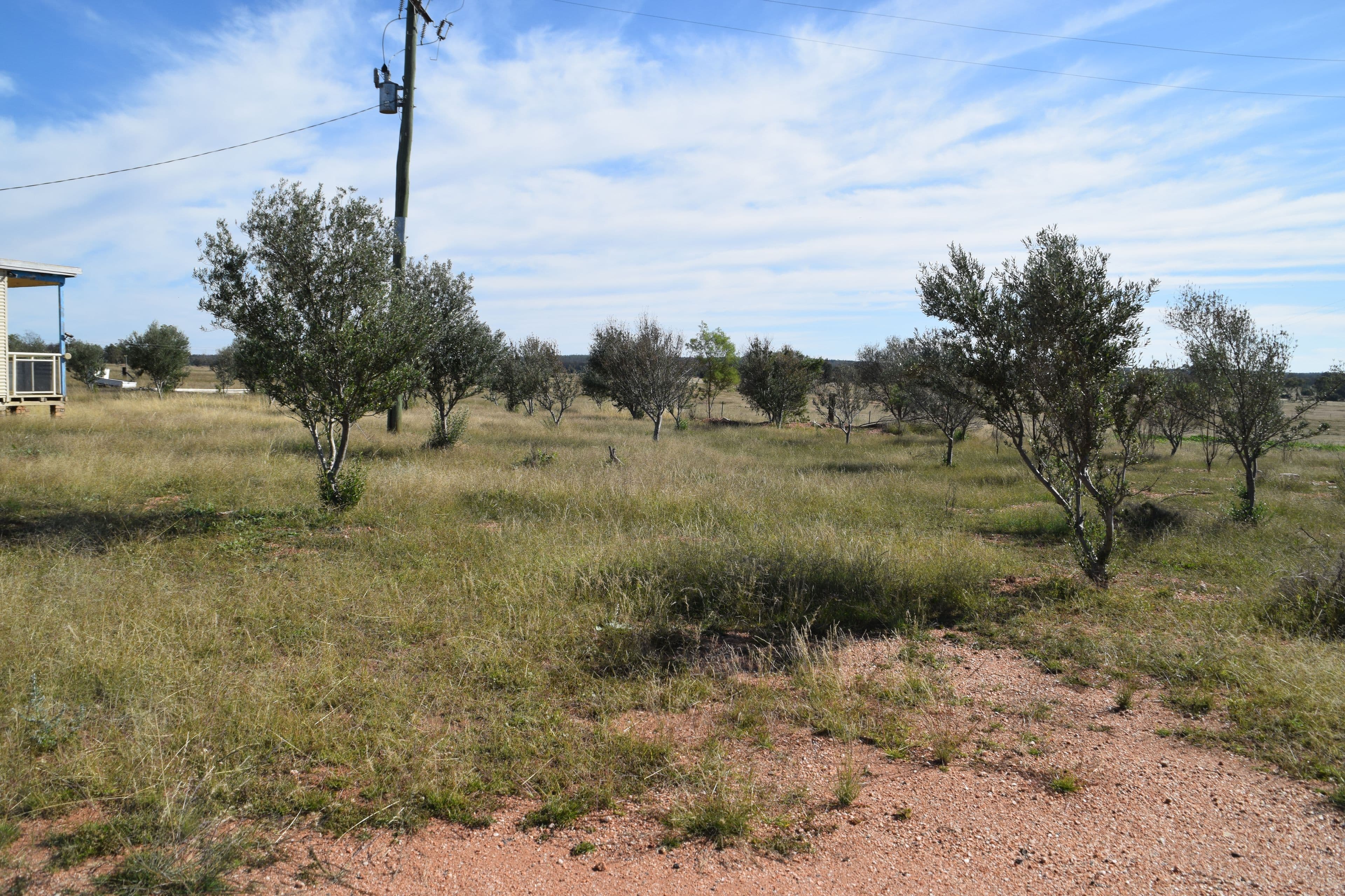 The Additional 123 Strudwicks Road, Tottenham NSW 2873, Tottenham - Thumbnail 8