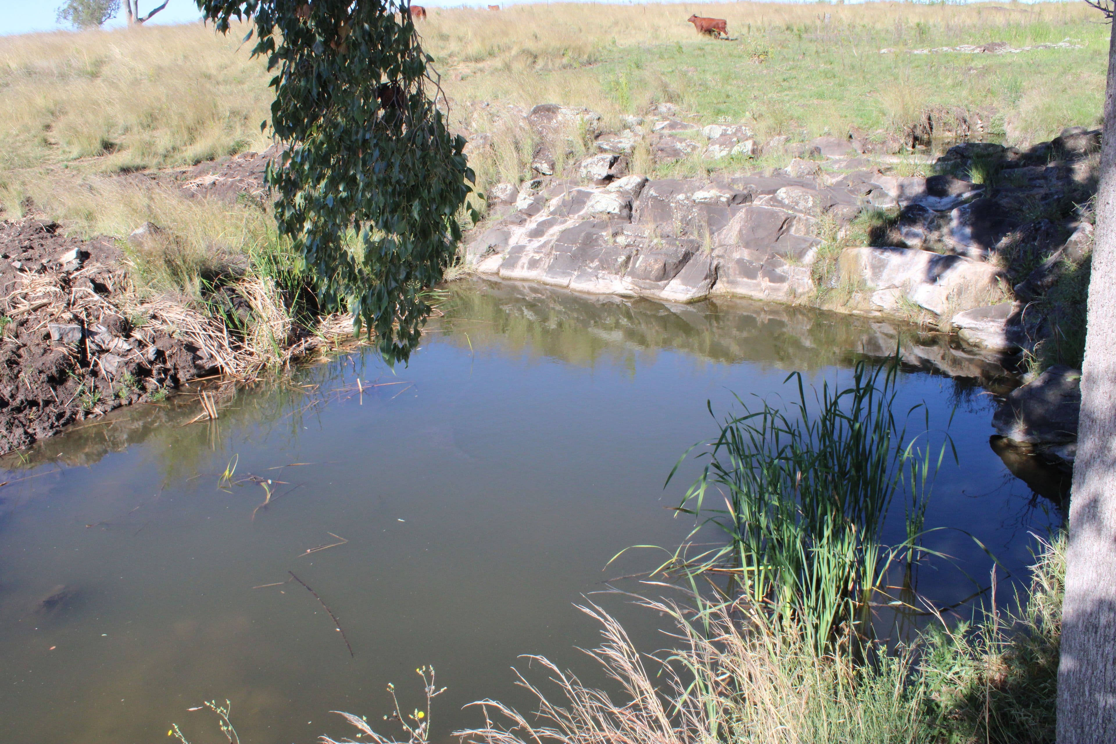 Lot 1 Glenesk Road, Inverell NSW 2360, Inverell - Thumbnail 3