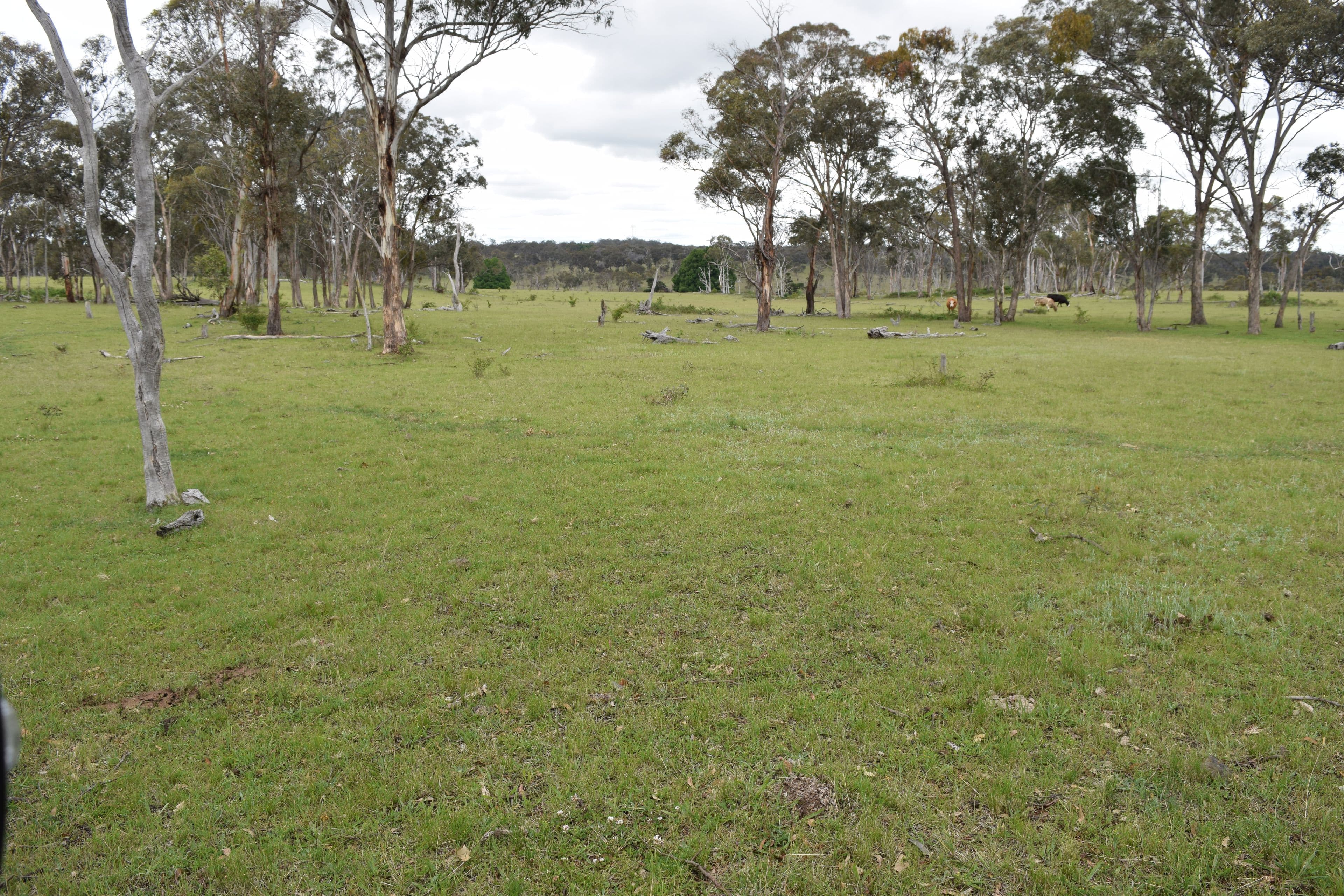 460 Donald Road, Armidale NSW 2350, Armidale - Thumbnail 3