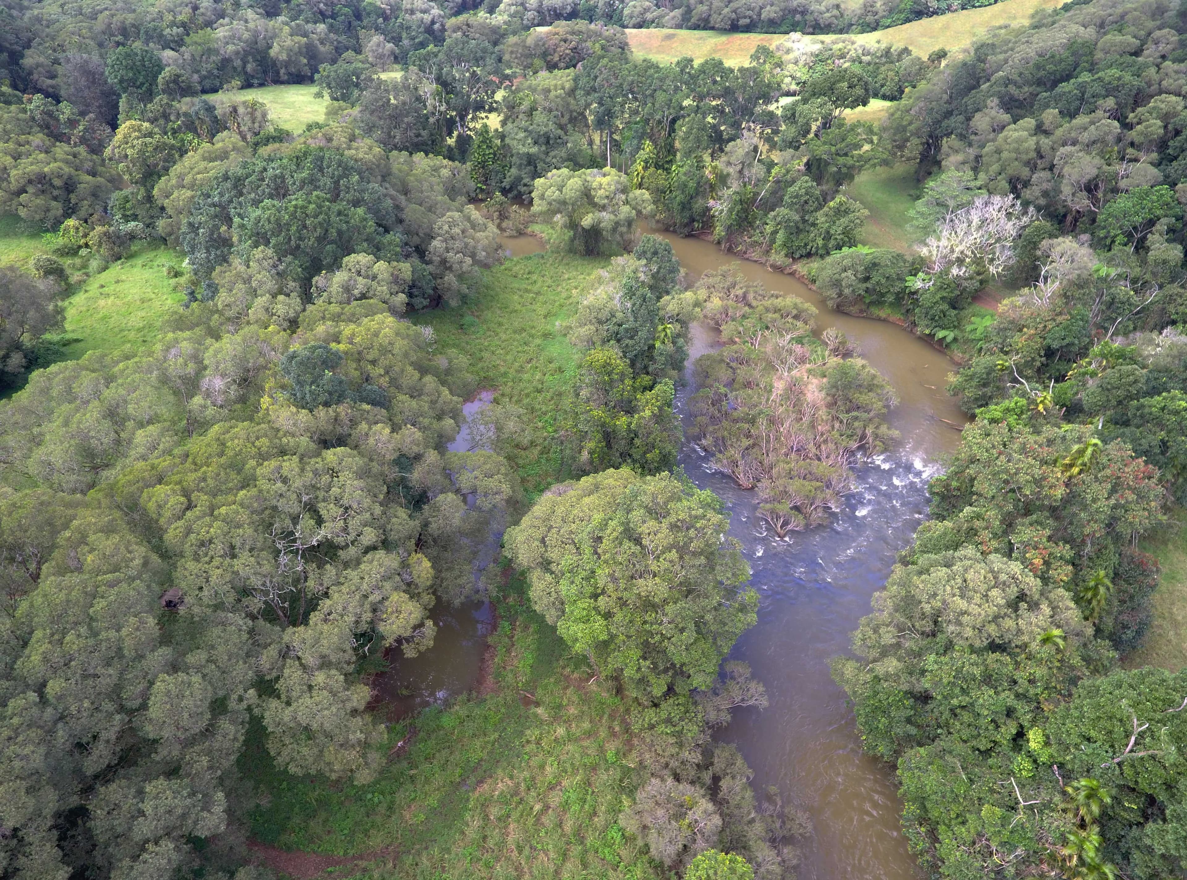 RN928 Glen Allyn Road, Malanda QLD 4885, Malanda - Thumbnail 2